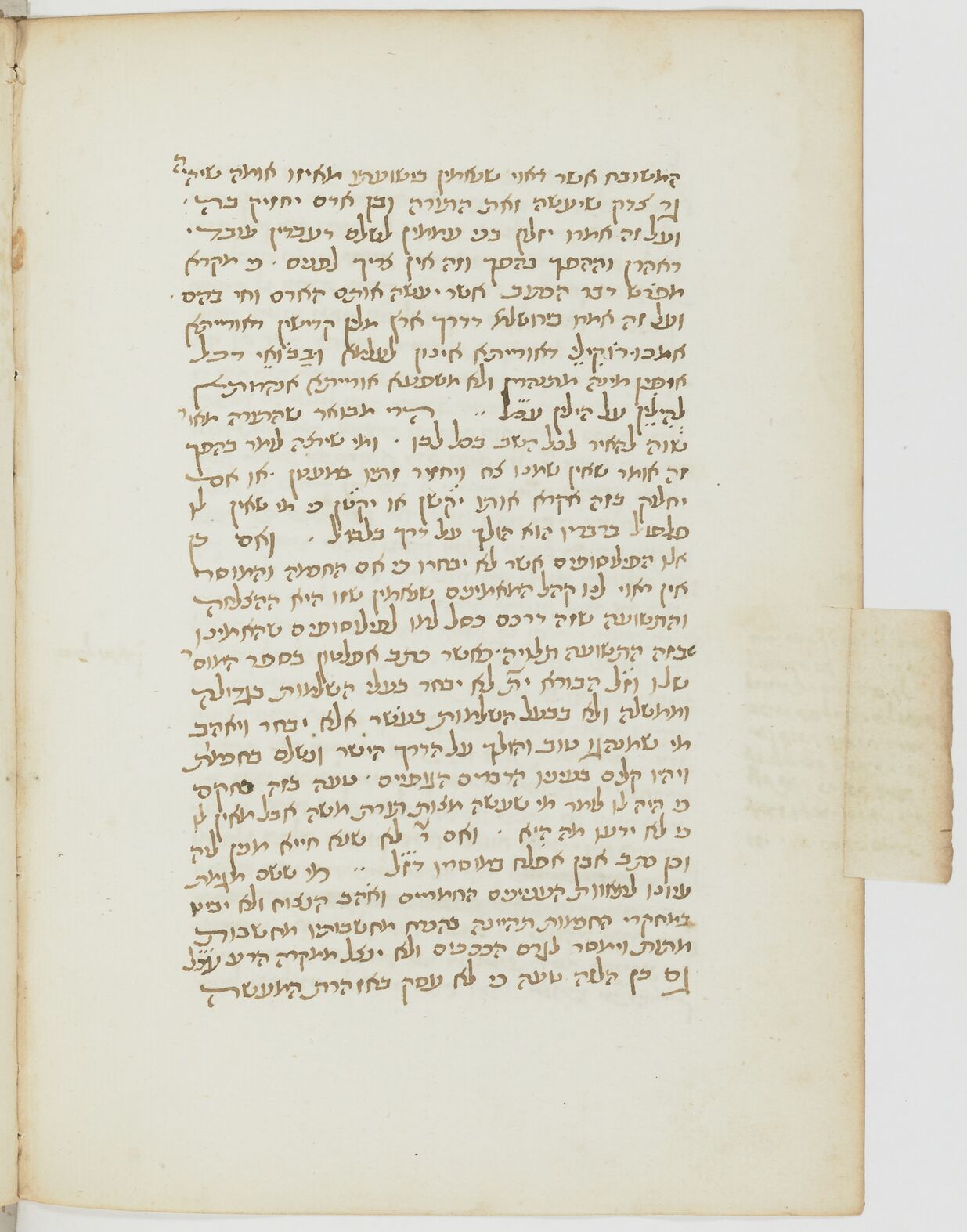 Image of item, e.g. a manuscript page