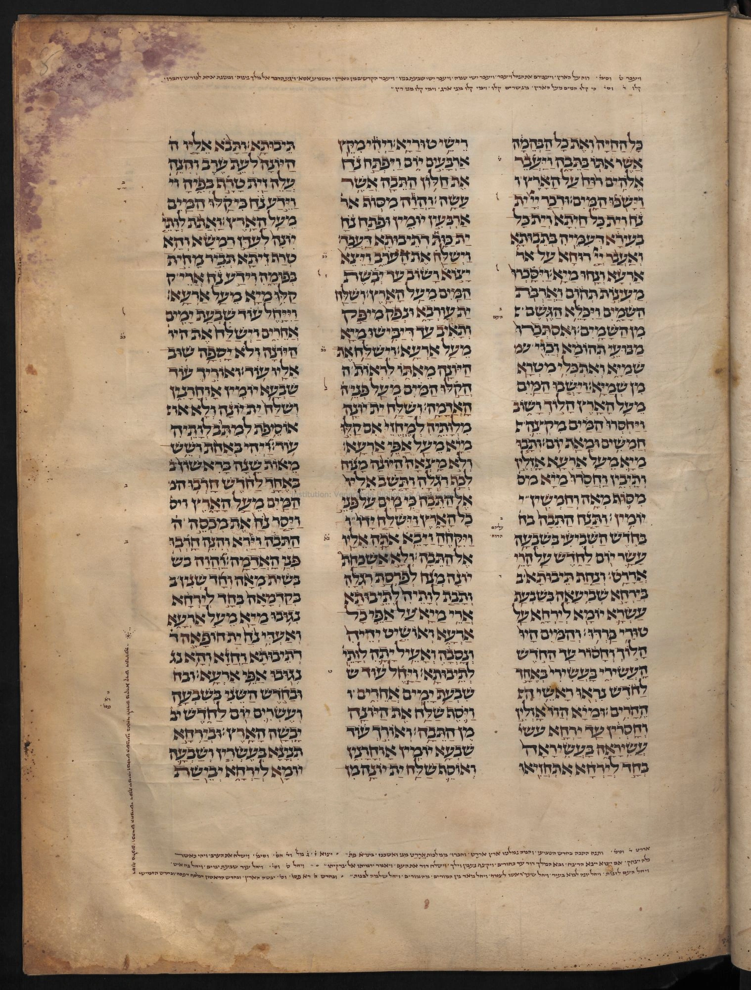Image of item, e.g. a manuscript page