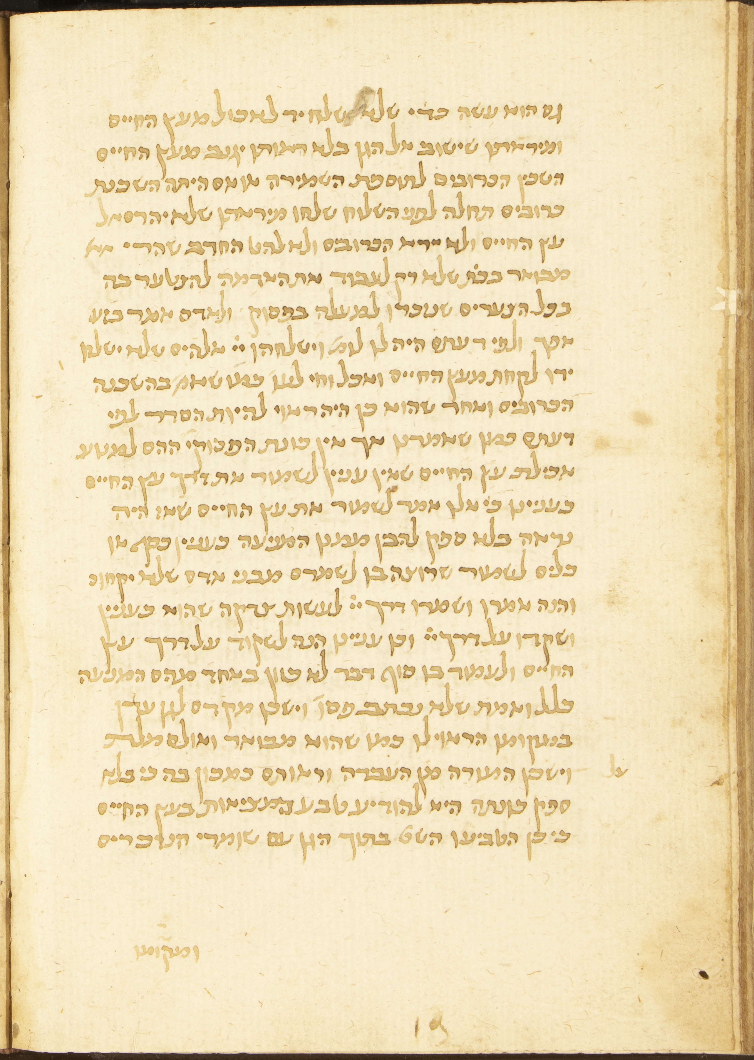 Image of item, e.g. a manuscript page