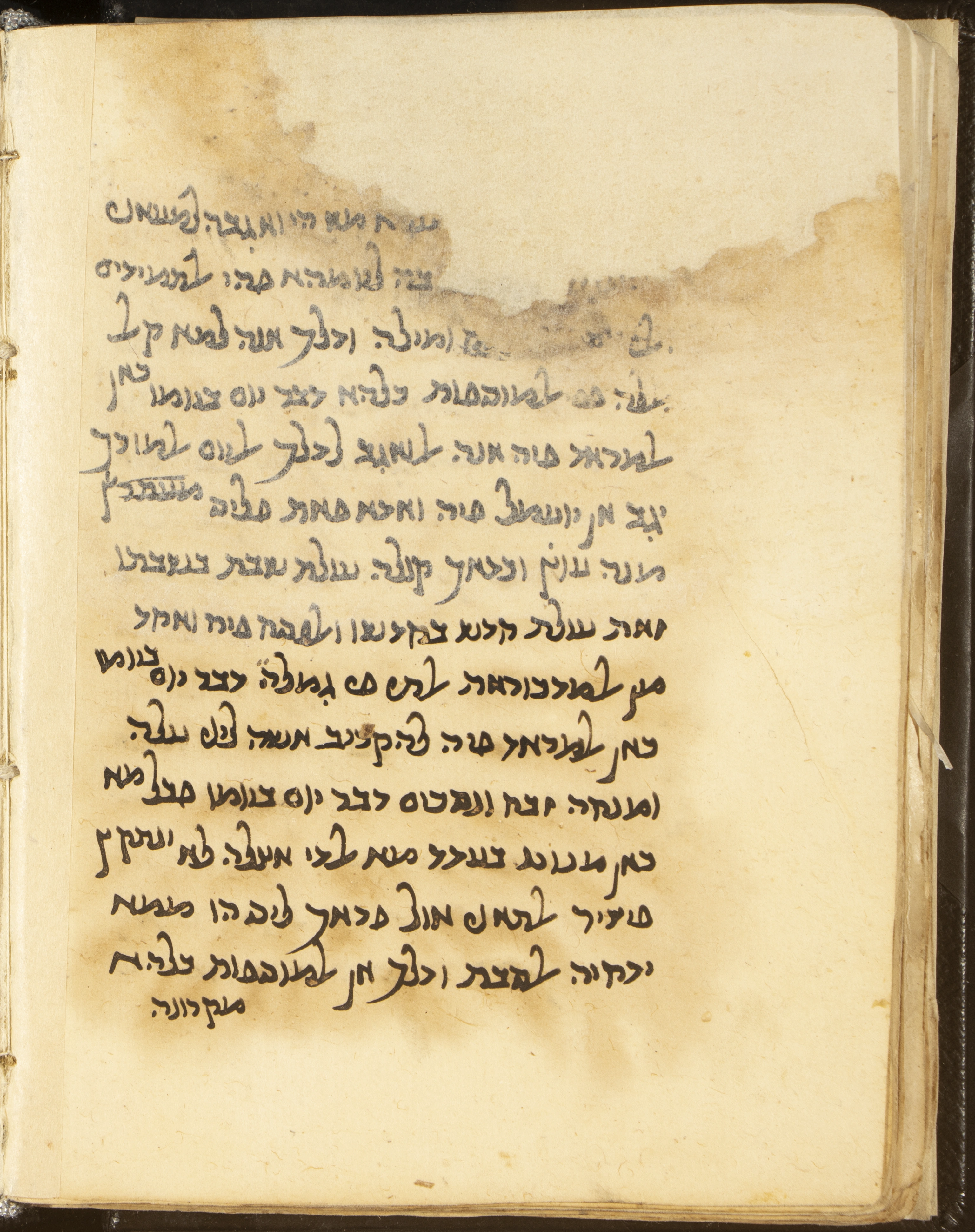 Image of item, e.g. a manuscript page