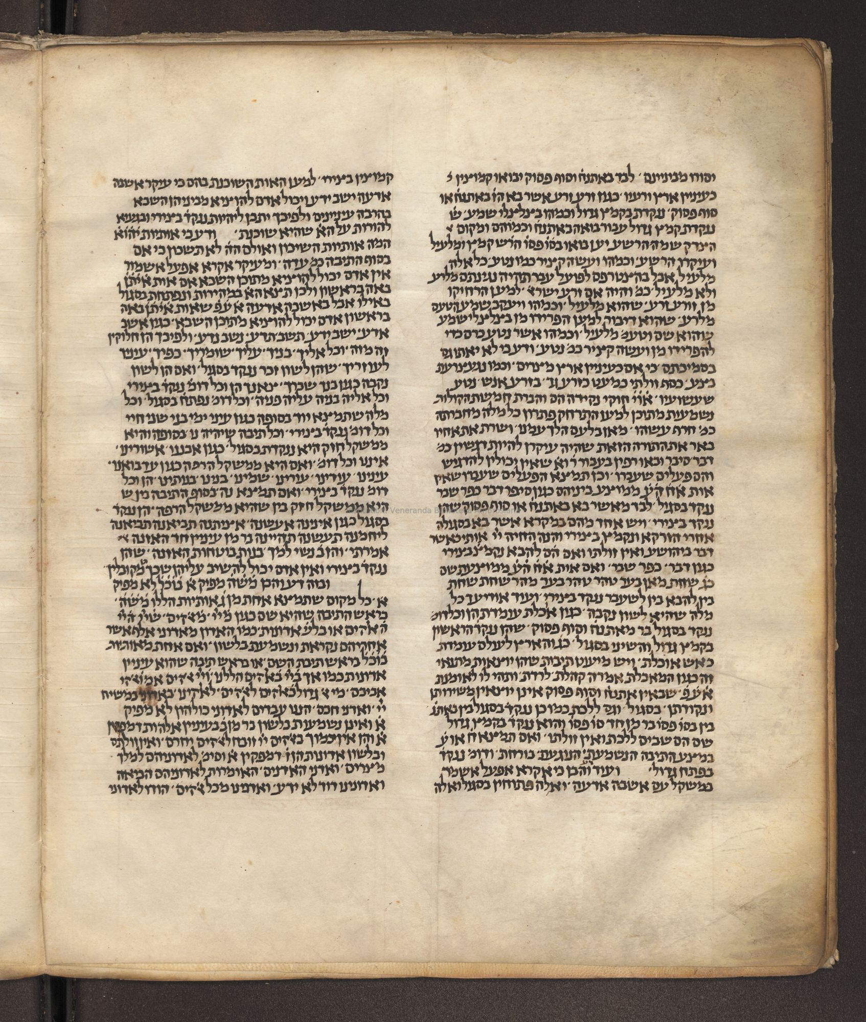 Image of item, e.g. a manuscript page