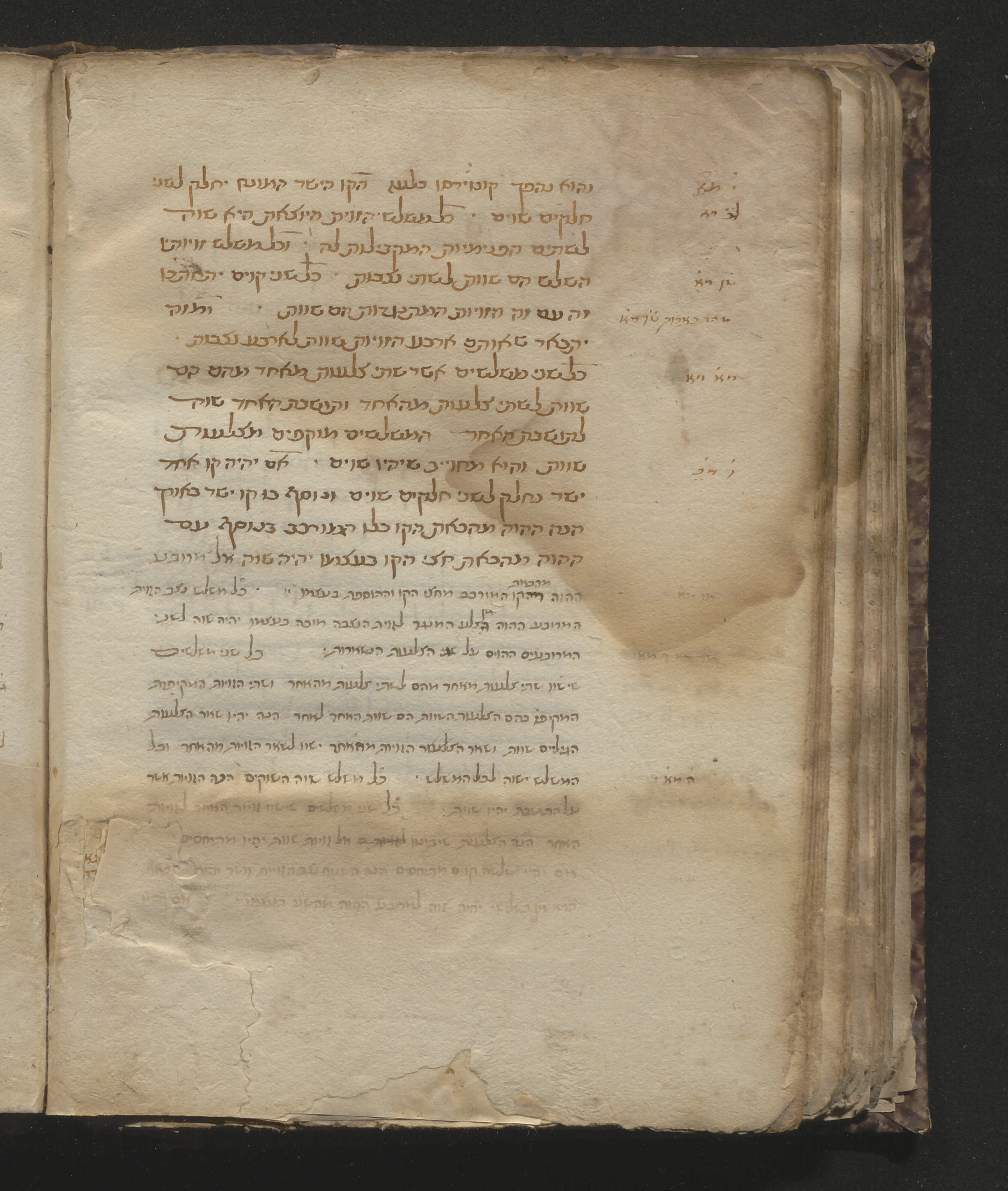 Image of item, e.g. a manuscript page