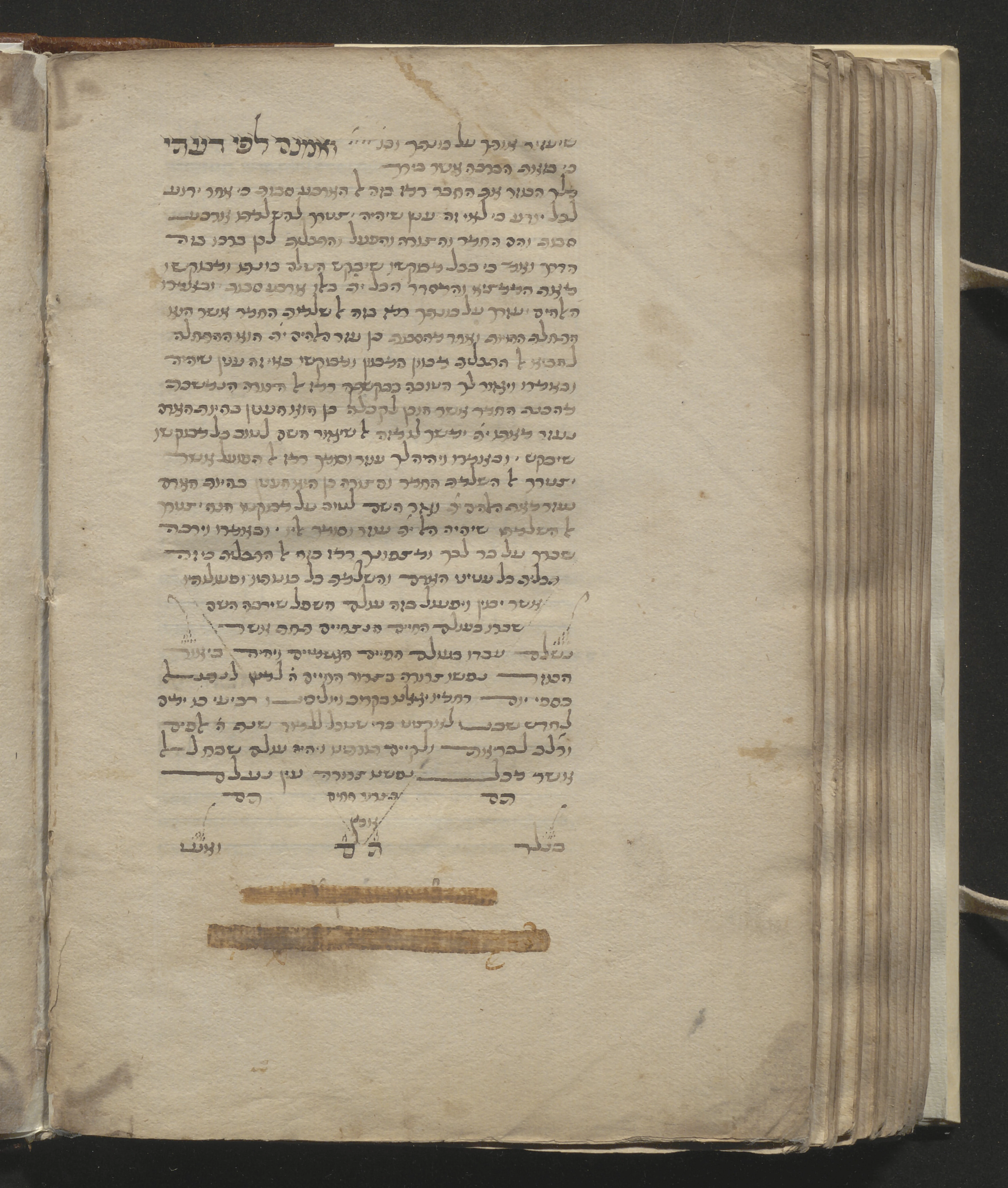 Image of item, e.g. a manuscript page