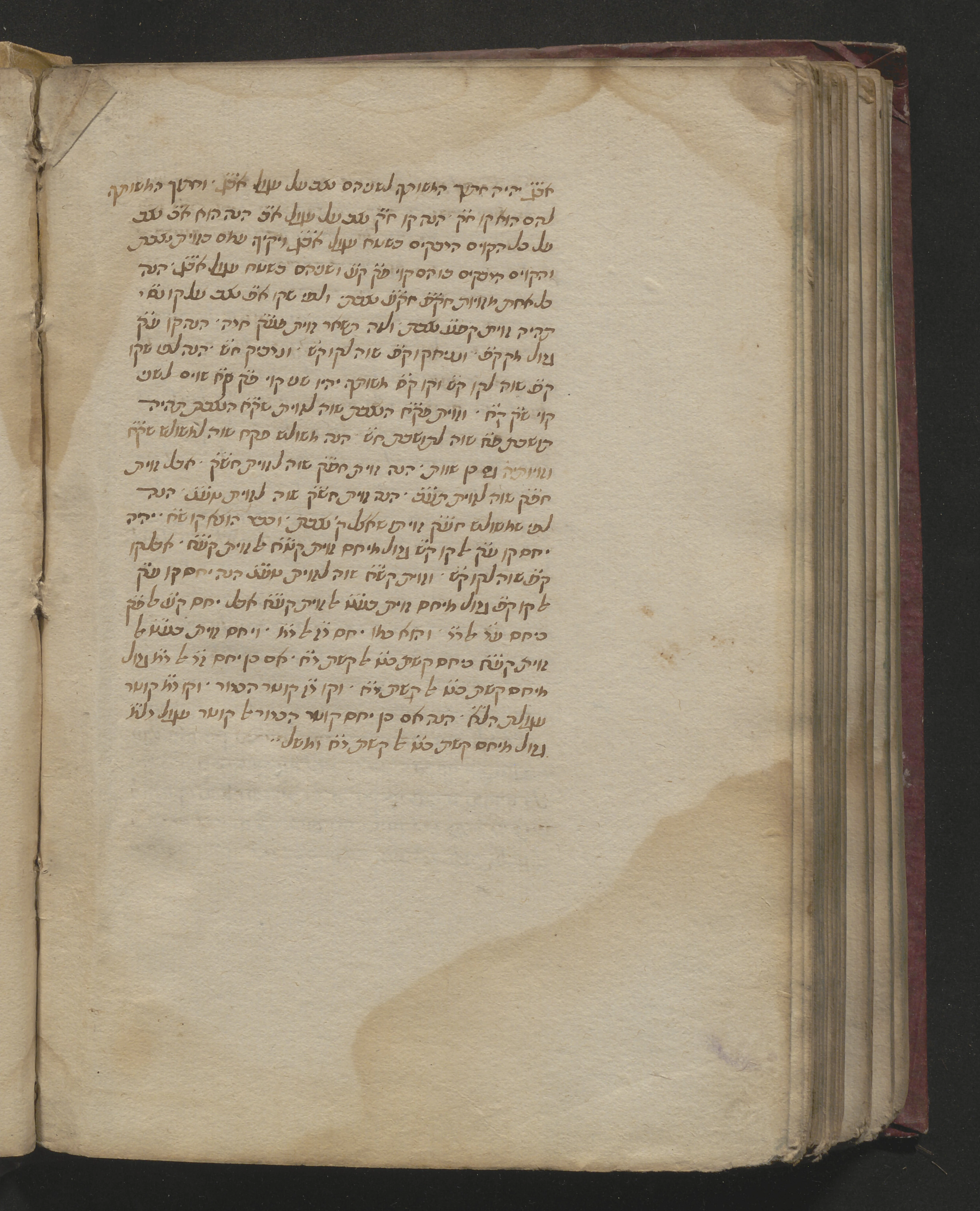Image of item, e.g. a manuscript page