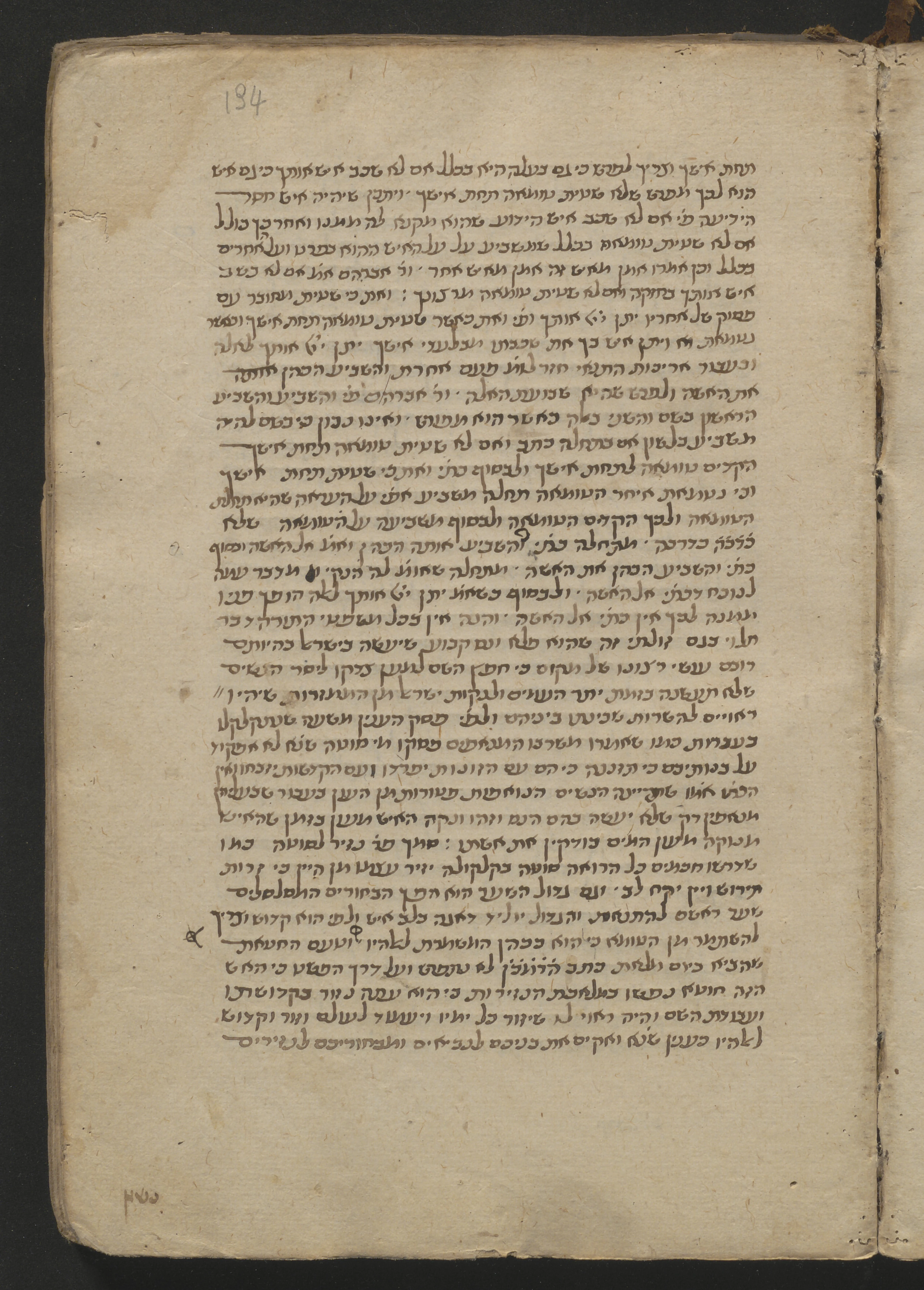Image of item, e.g. a manuscript page