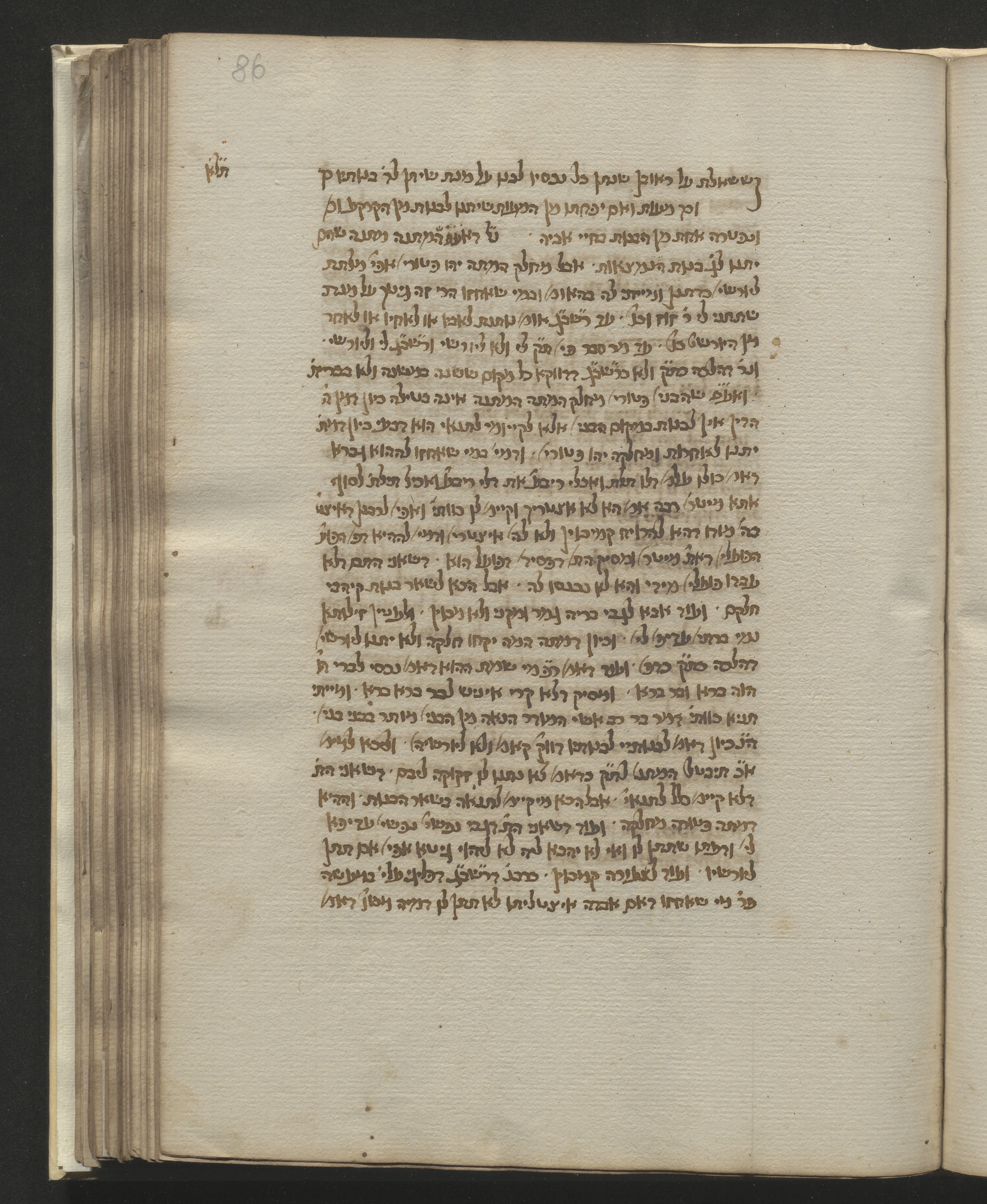 Image of item, e.g. a manuscript page