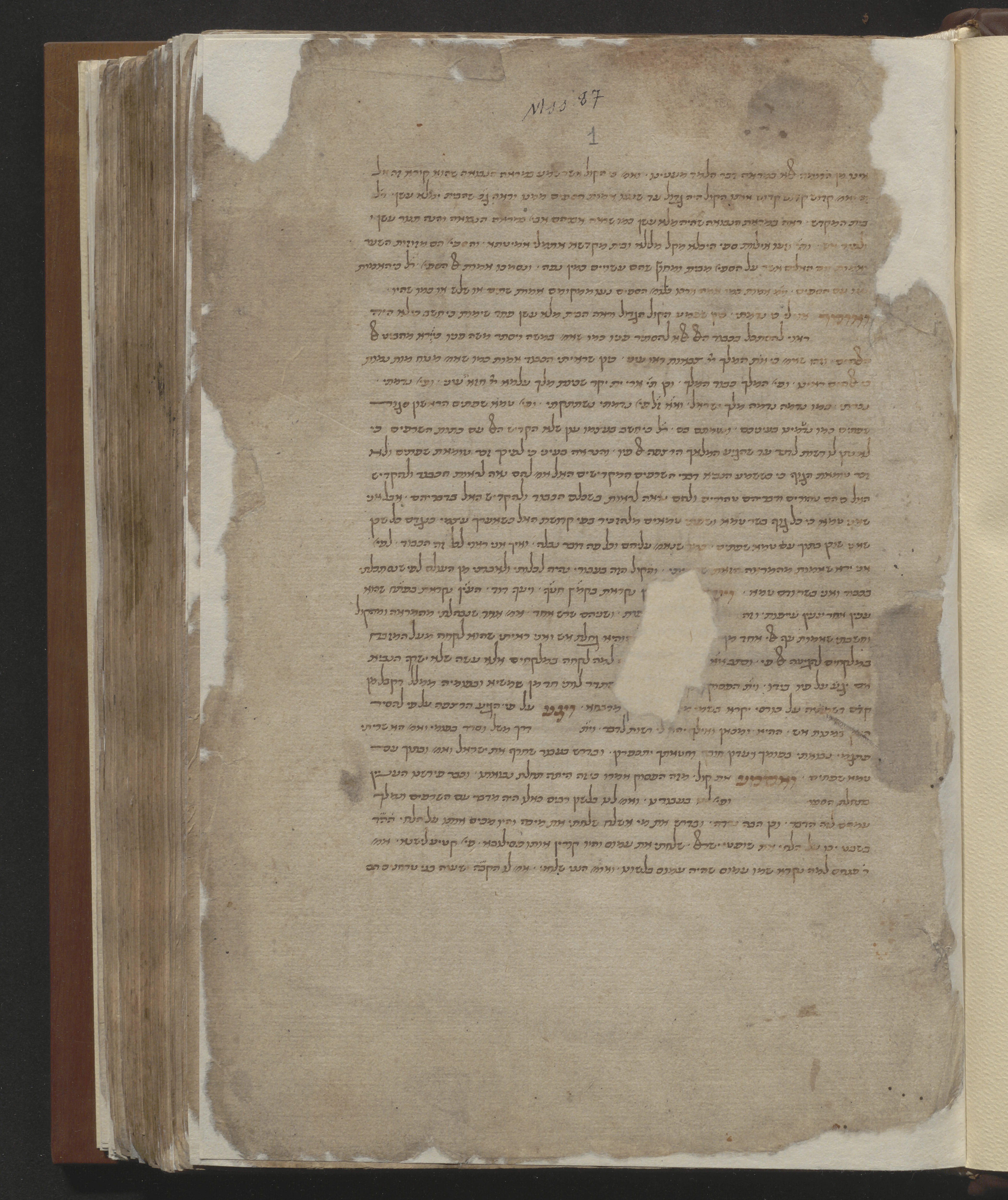 Image of item, e.g. a manuscript page