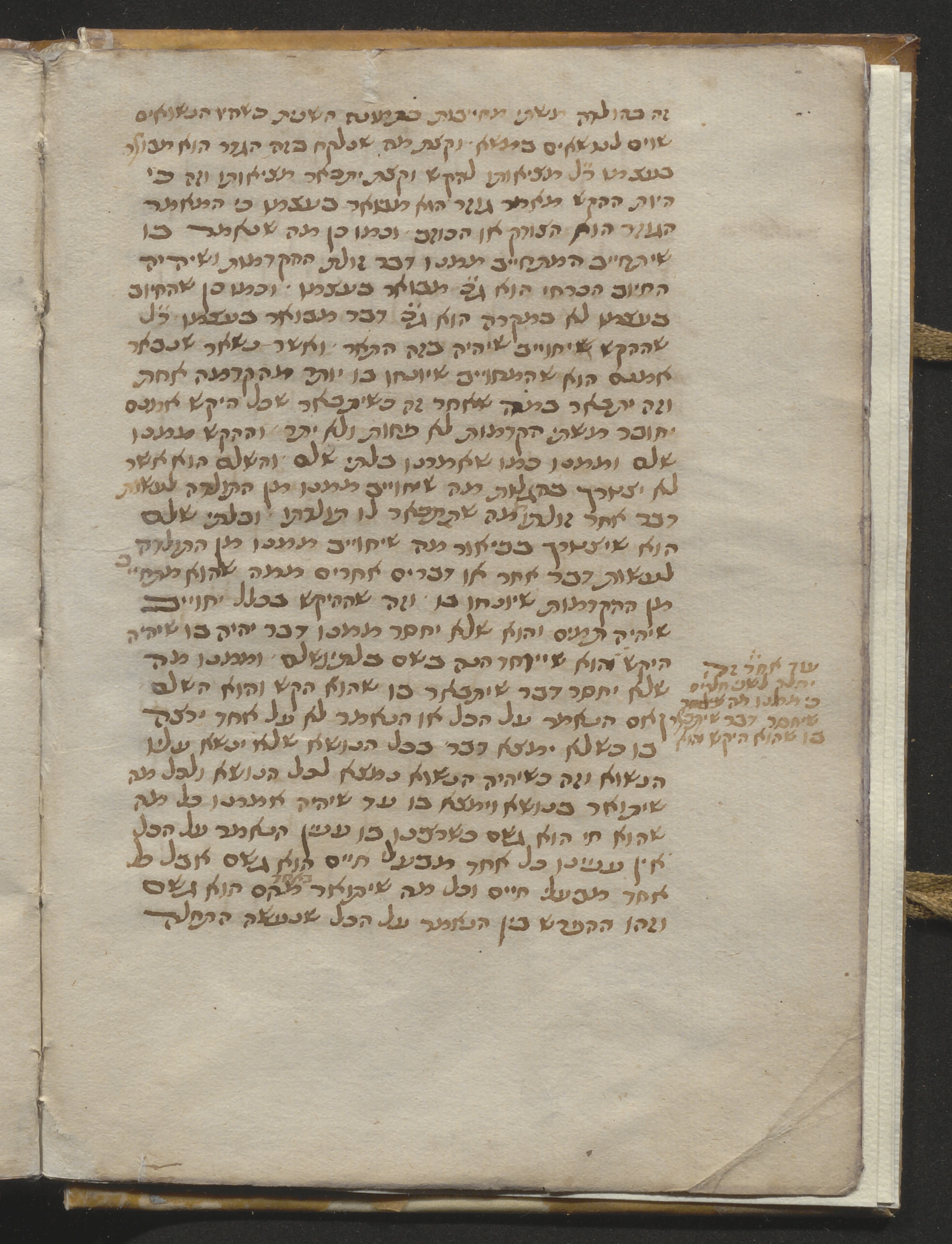 Image of item, e.g. a manuscript page