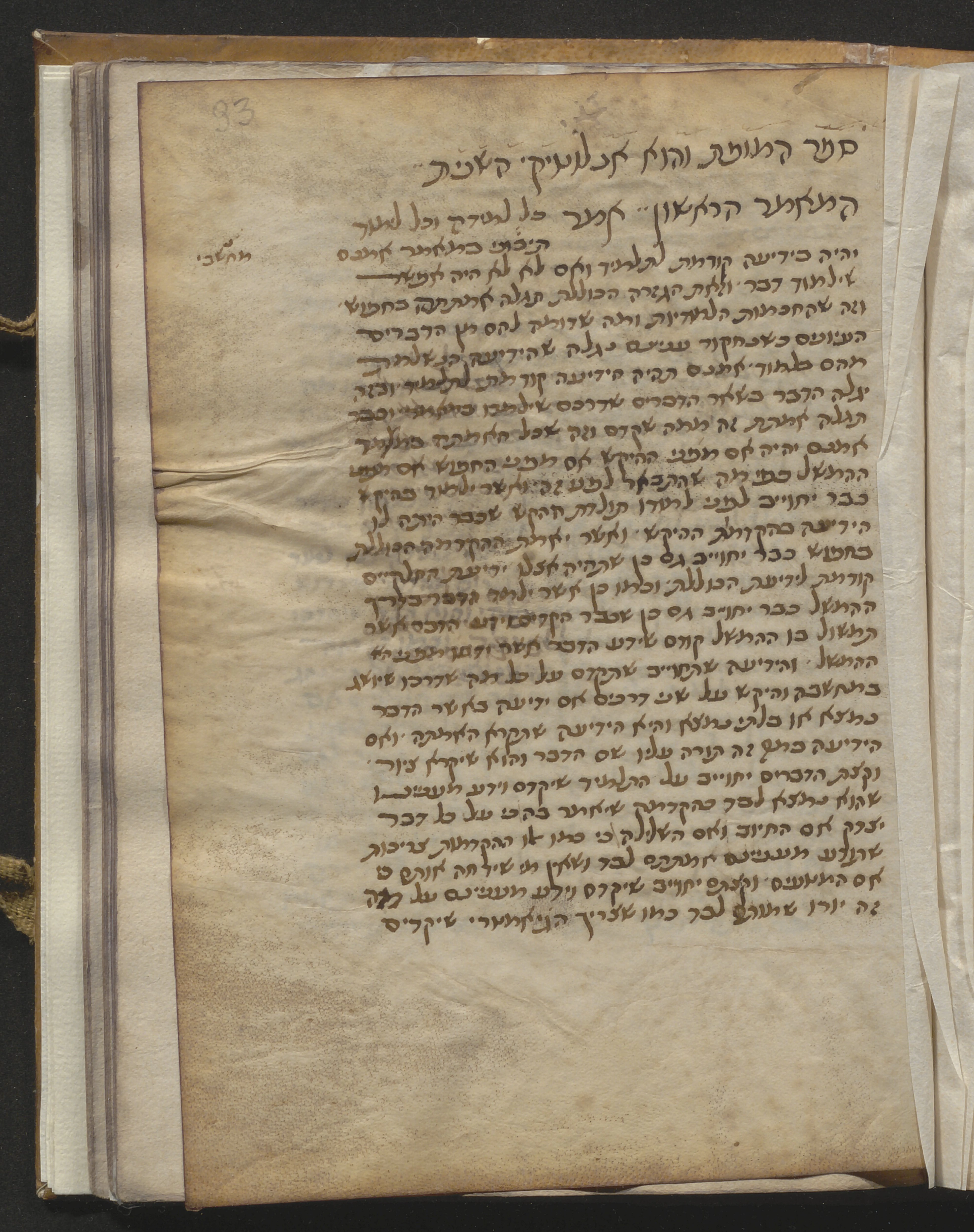 Image of item, e.g. a manuscript page