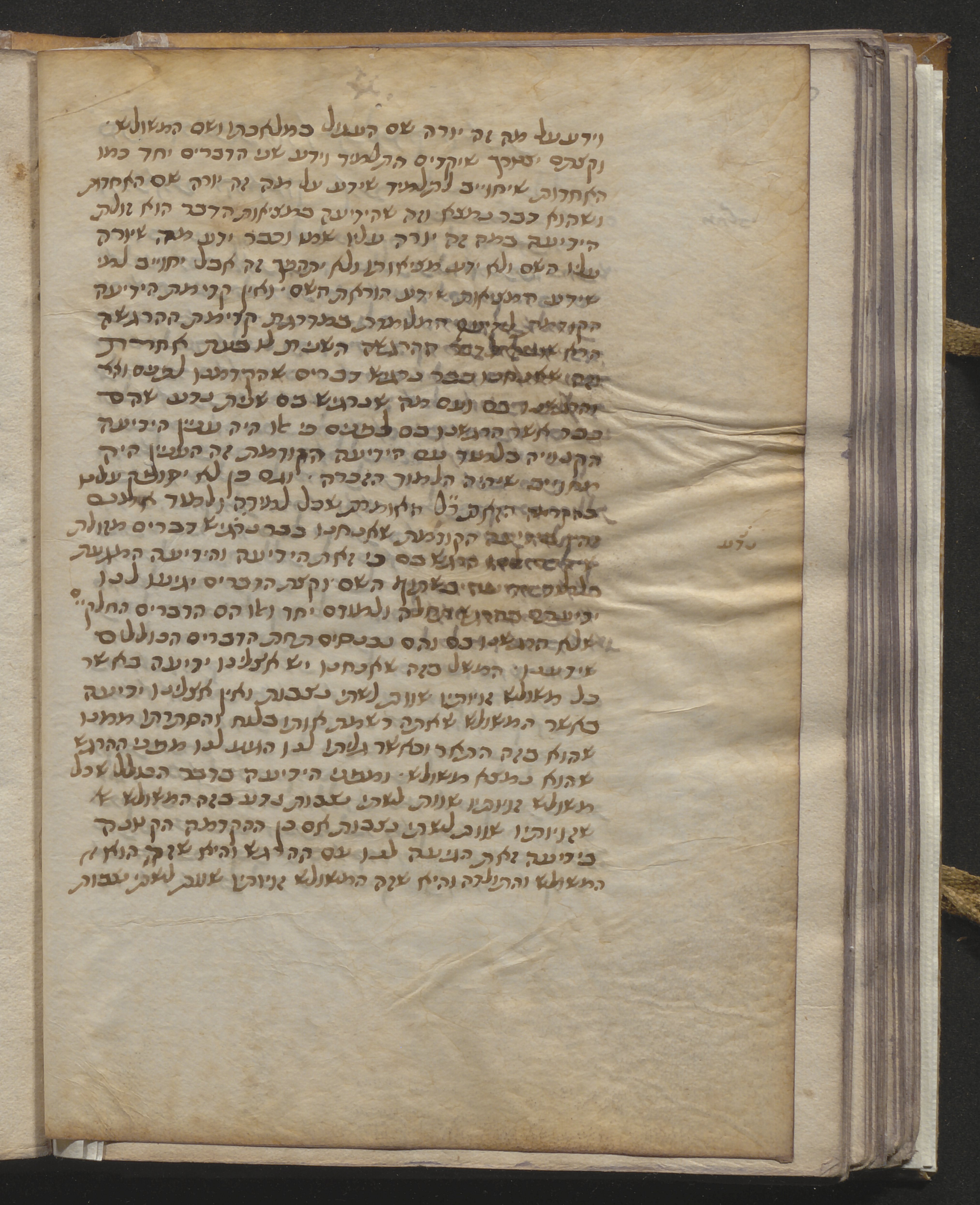 Image of item, e.g. a manuscript page