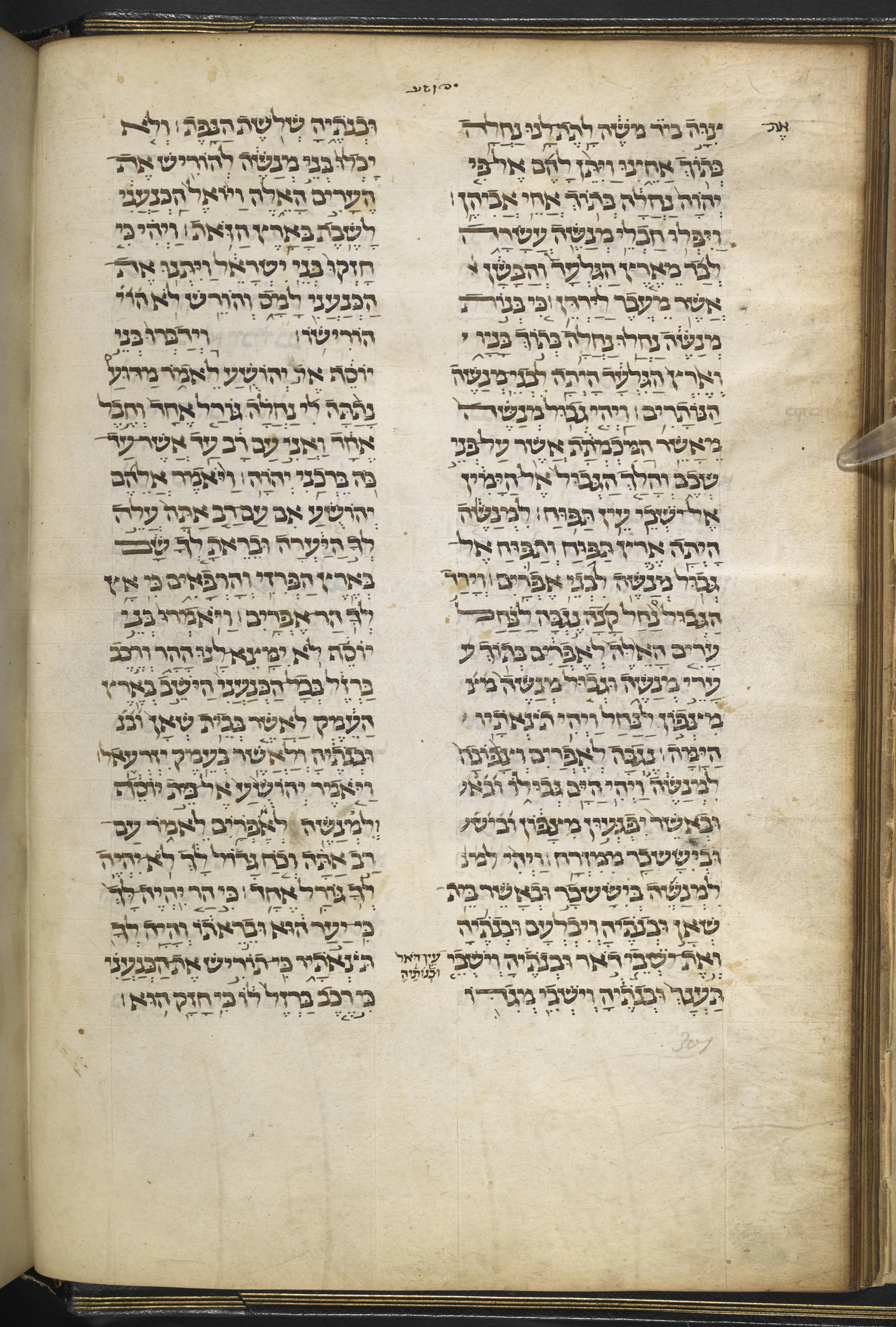 Image of item, e.g. a manuscript page