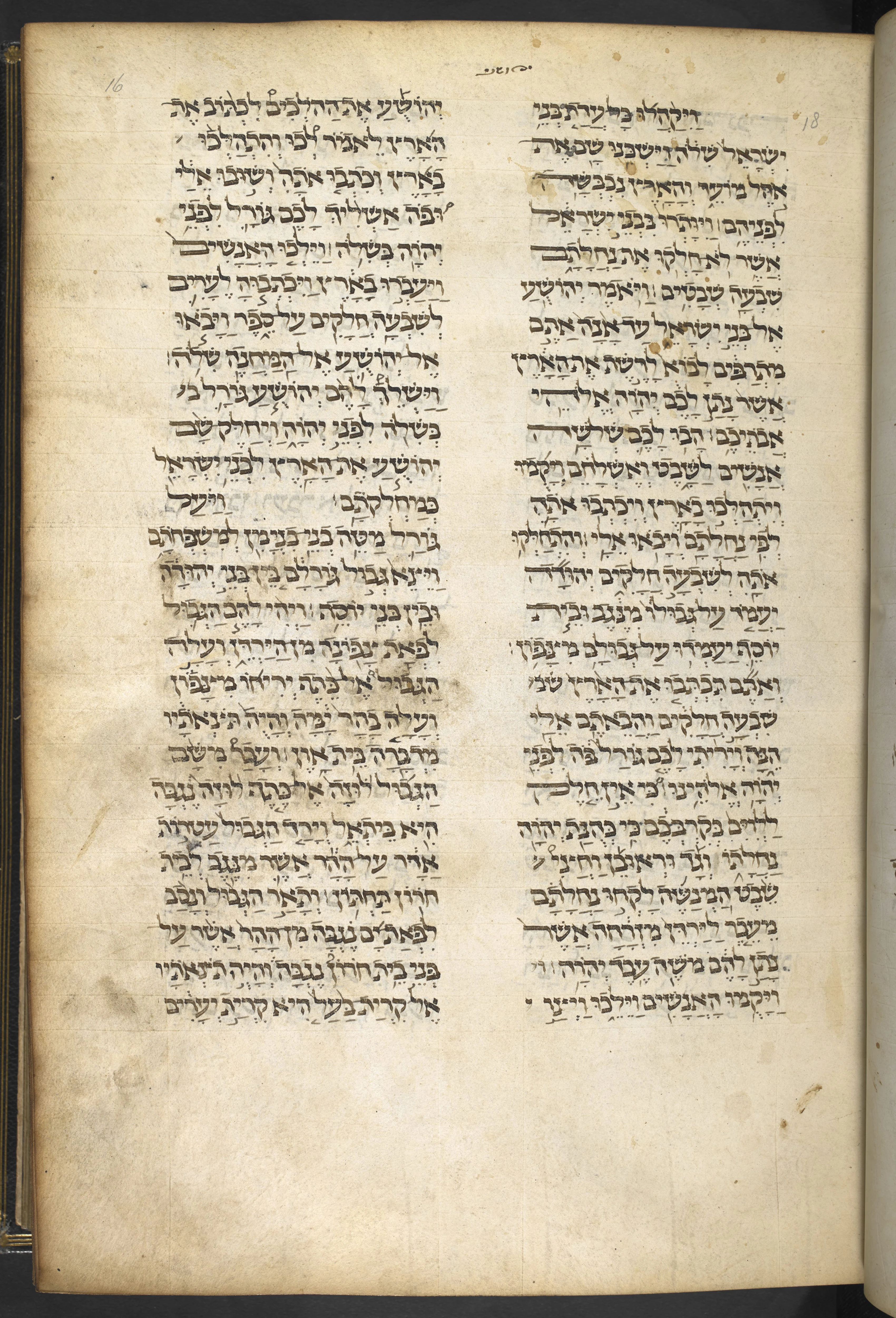 Image of item, e.g. a manuscript page