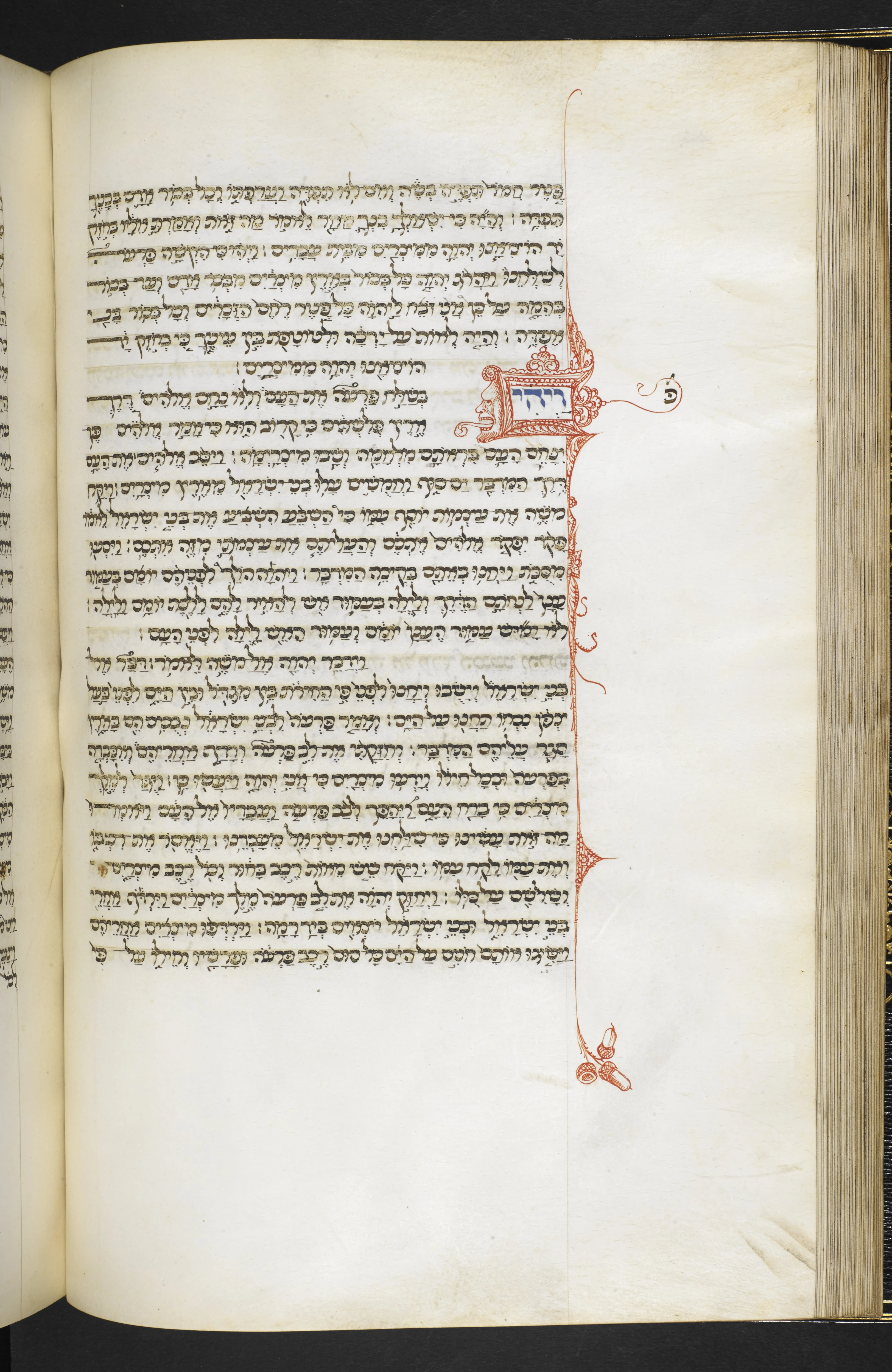 Image of item, e.g. a manuscript page