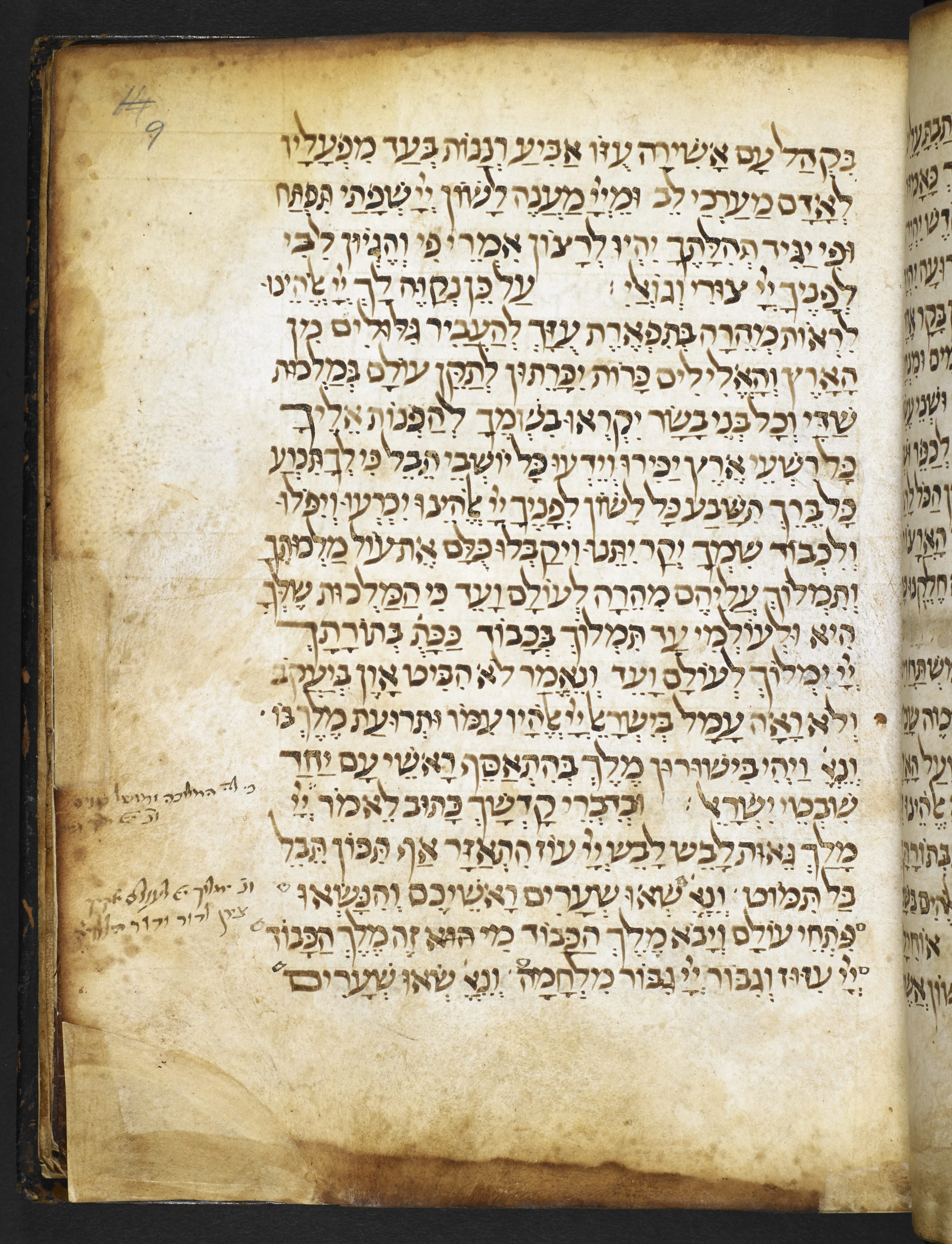 Image of item, e.g. a manuscript page