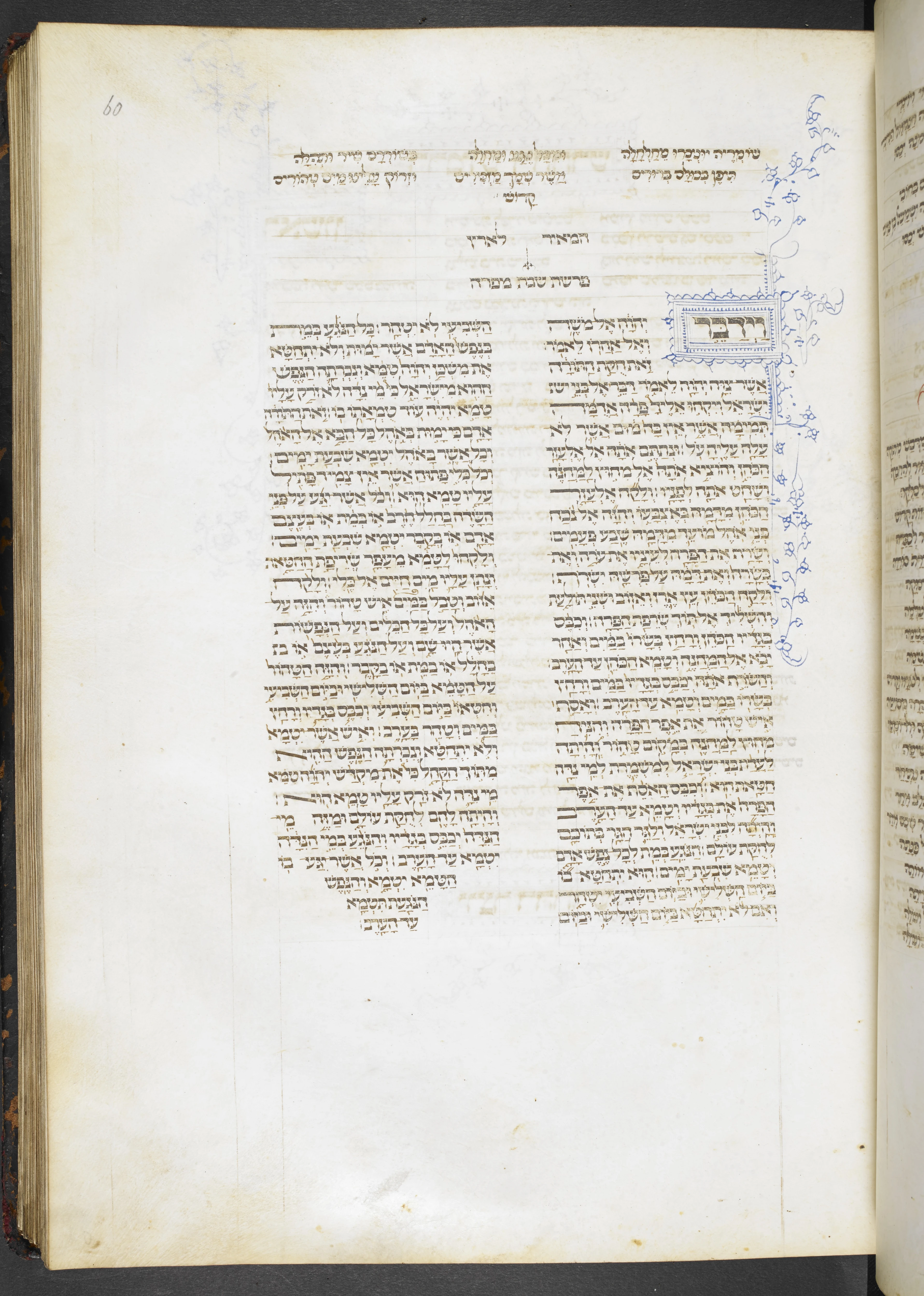 Image of item, e.g. a manuscript page