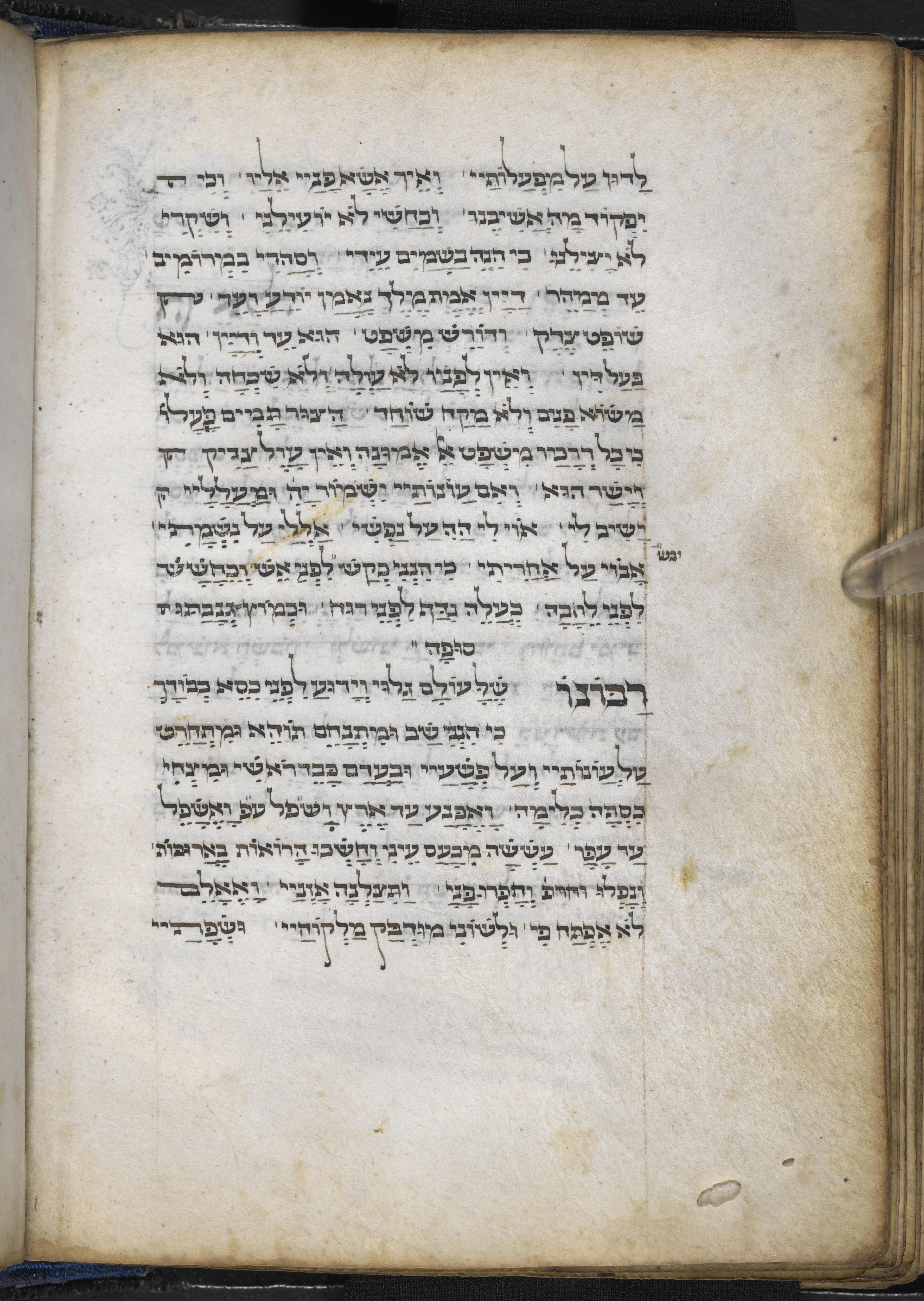 Image of item, e.g. a manuscript page