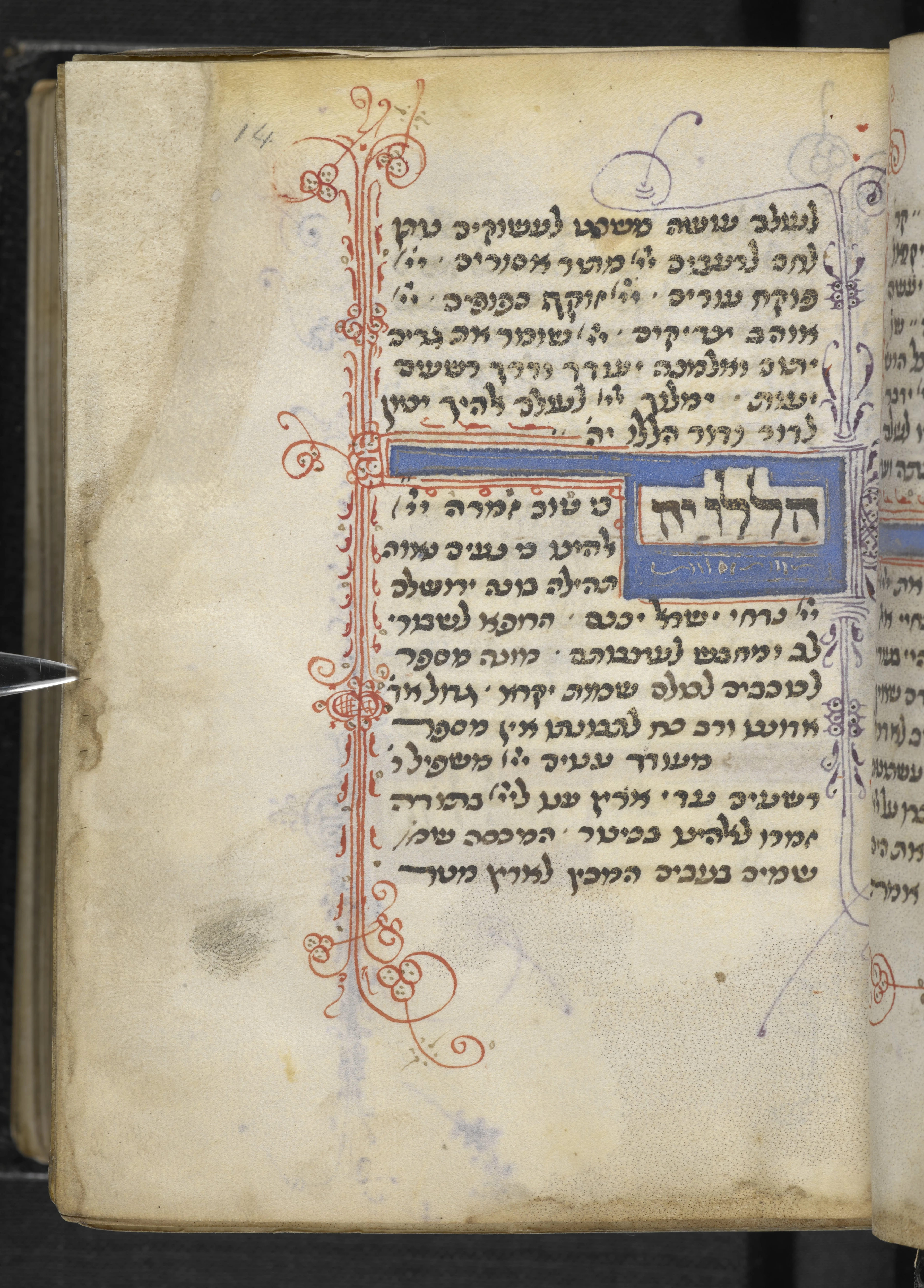 Image of item, e.g. a manuscript page