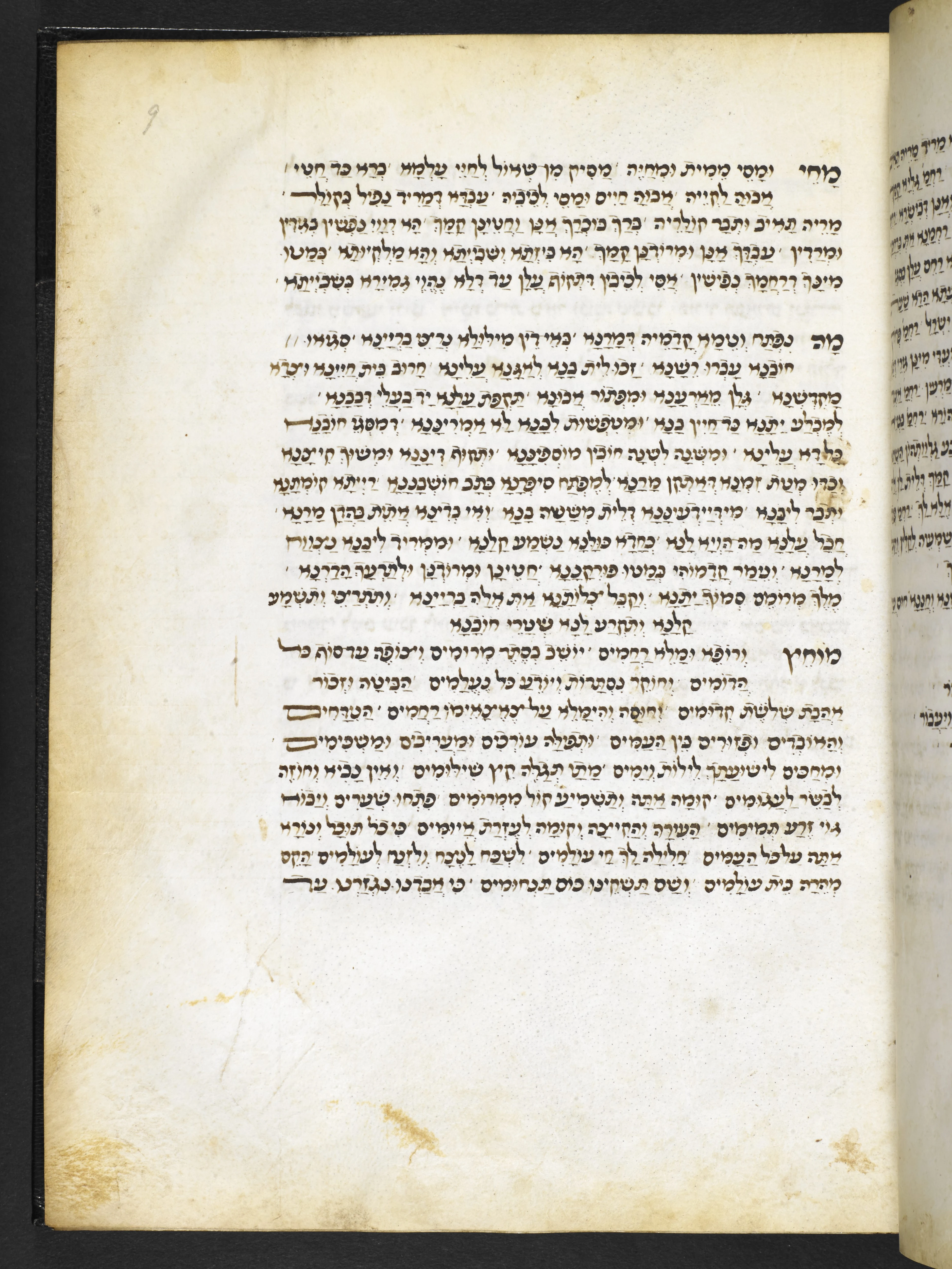 Image of item, e.g. a manuscript page