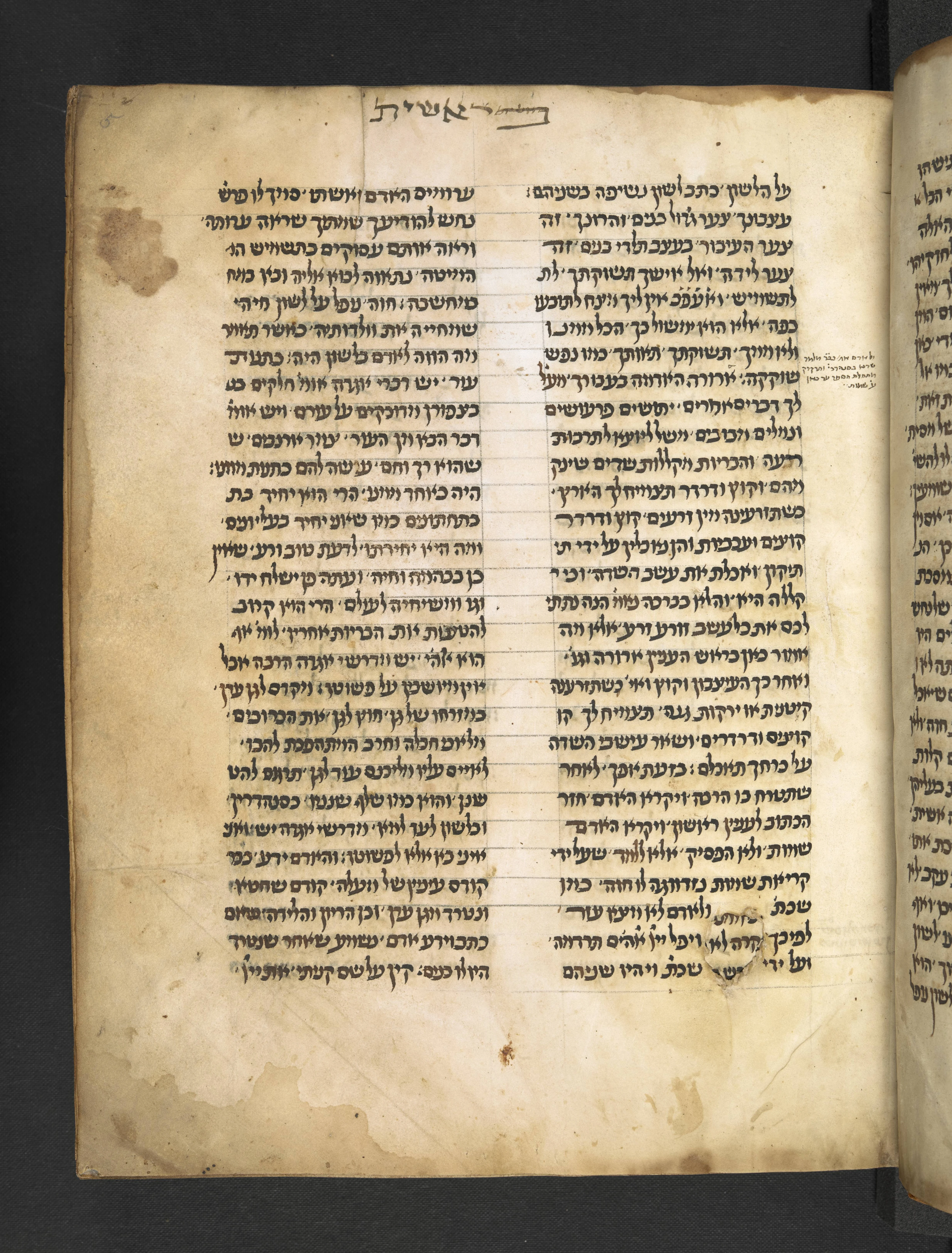 Image of item, e.g. a manuscript page