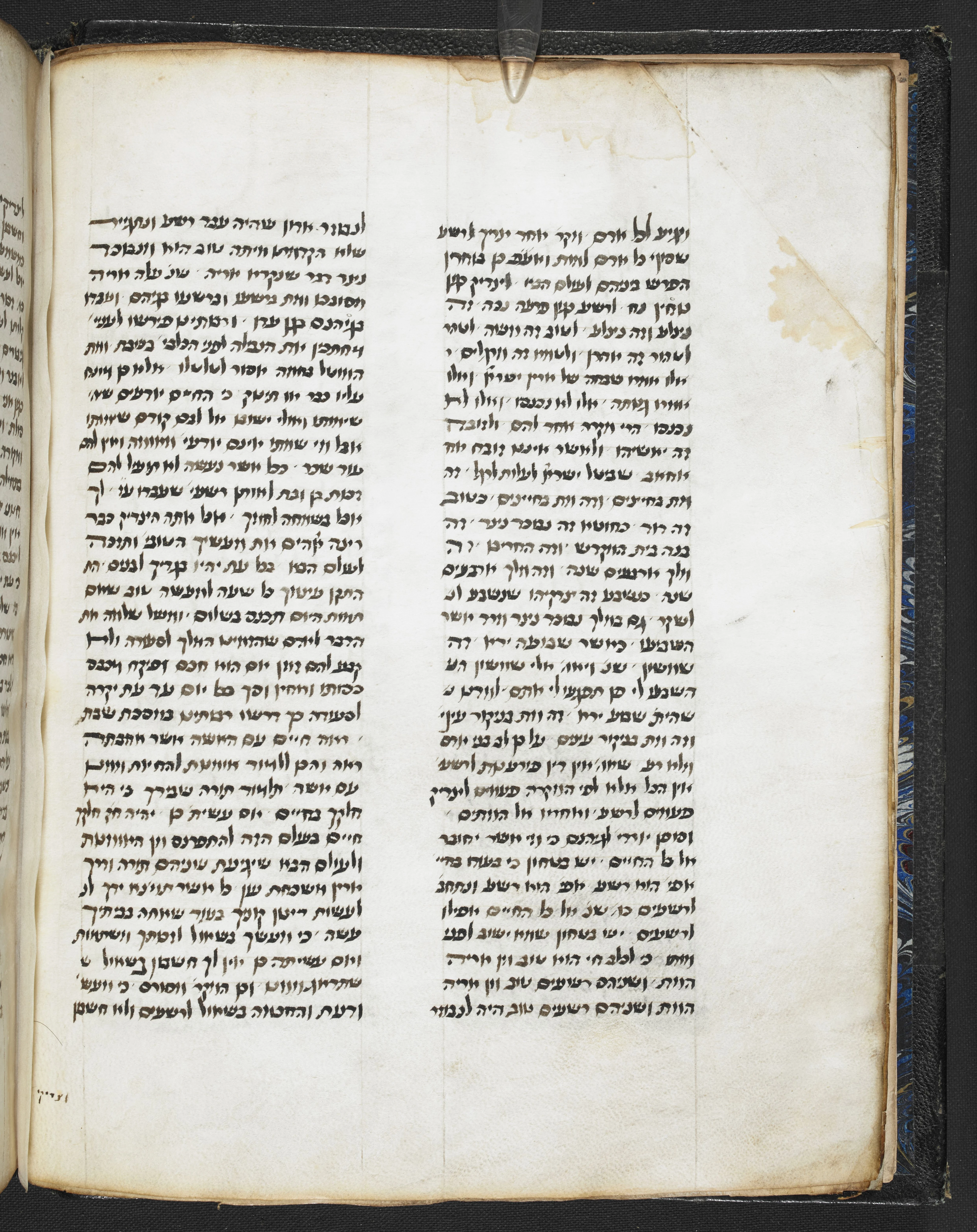 Image of item, e.g. a manuscript page