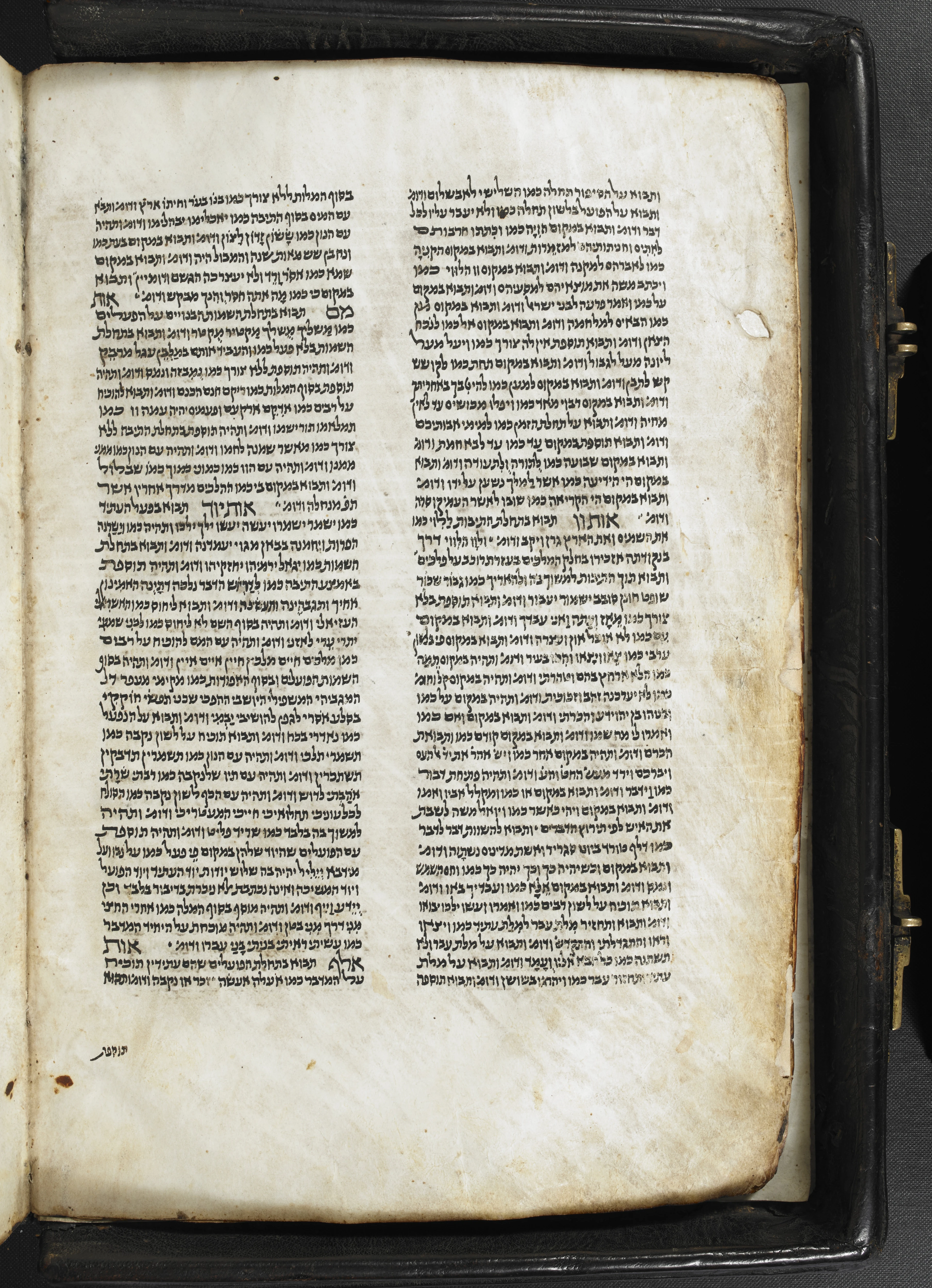 Image of item, e.g. a manuscript page