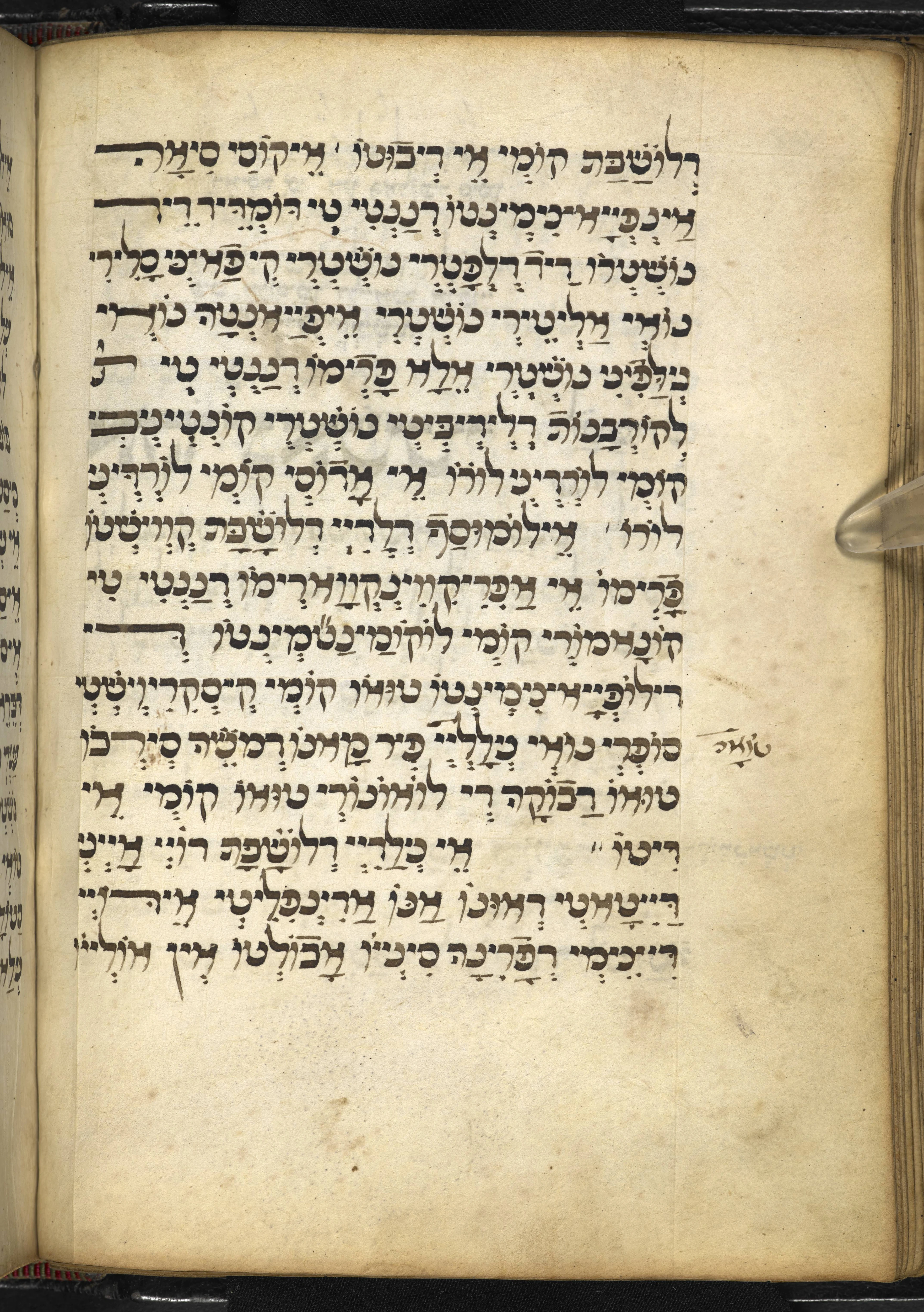 Image of item, e.g. a manuscript page