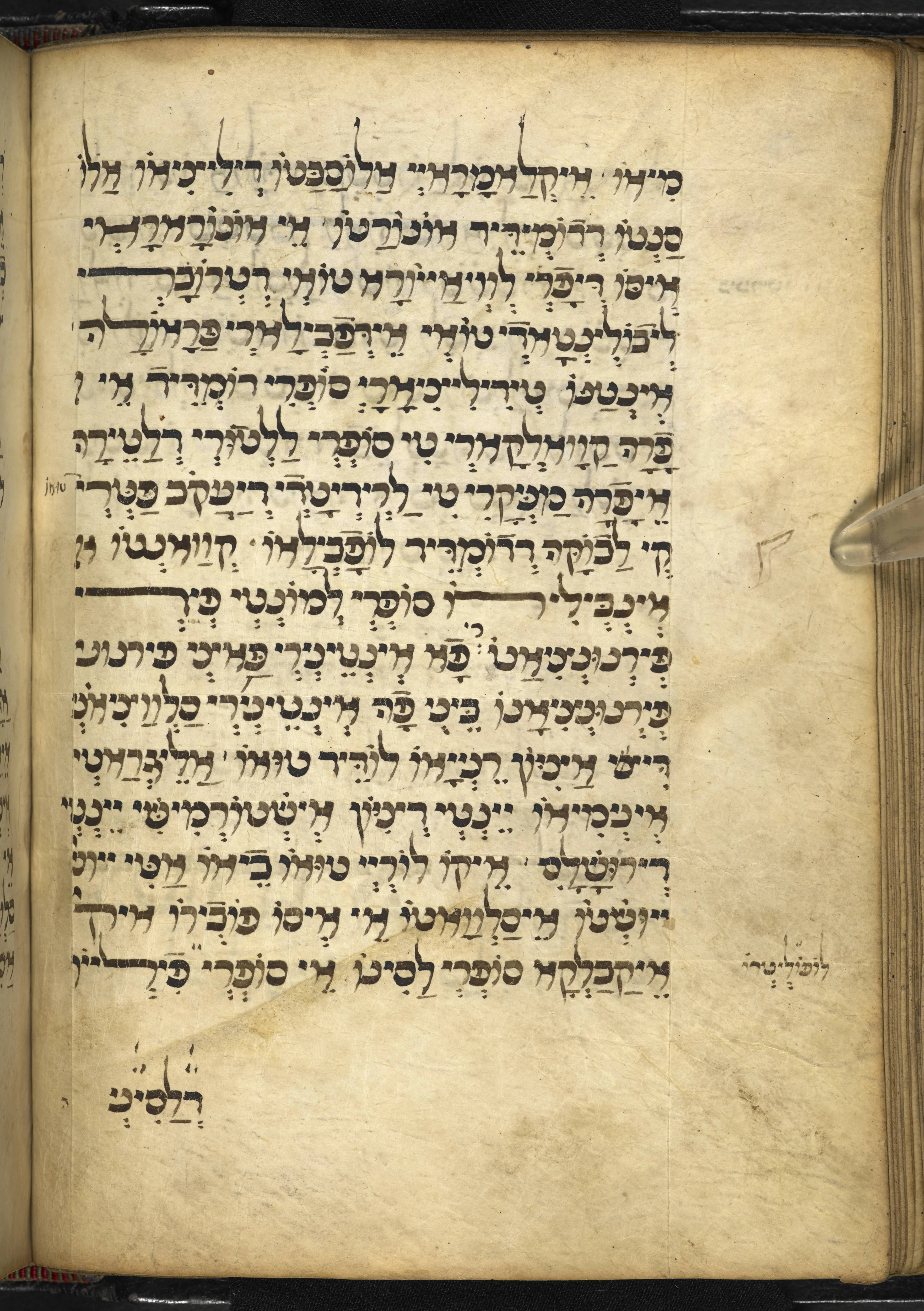 Image of item, e.g. a manuscript page