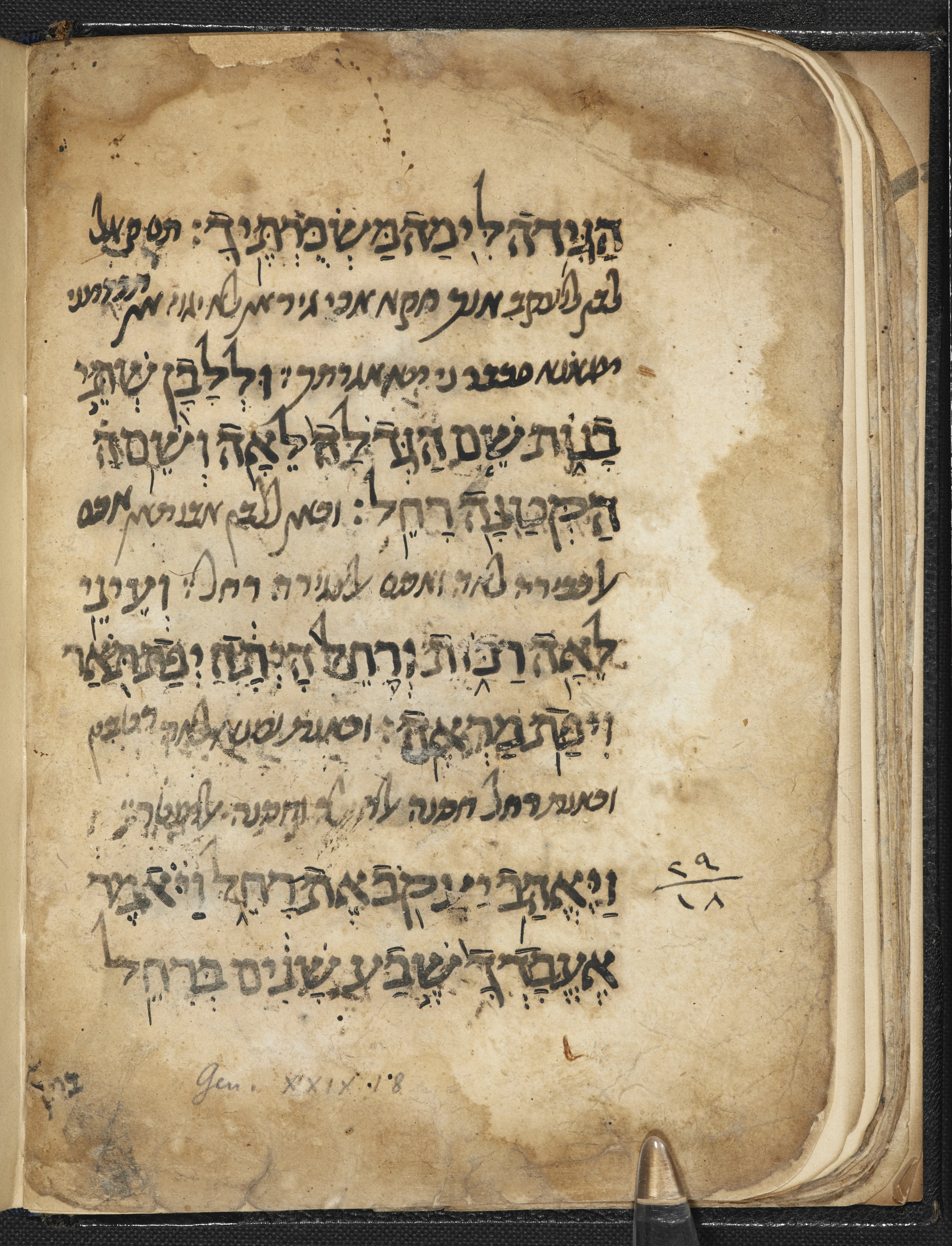 Image of item, e.g. a manuscript page