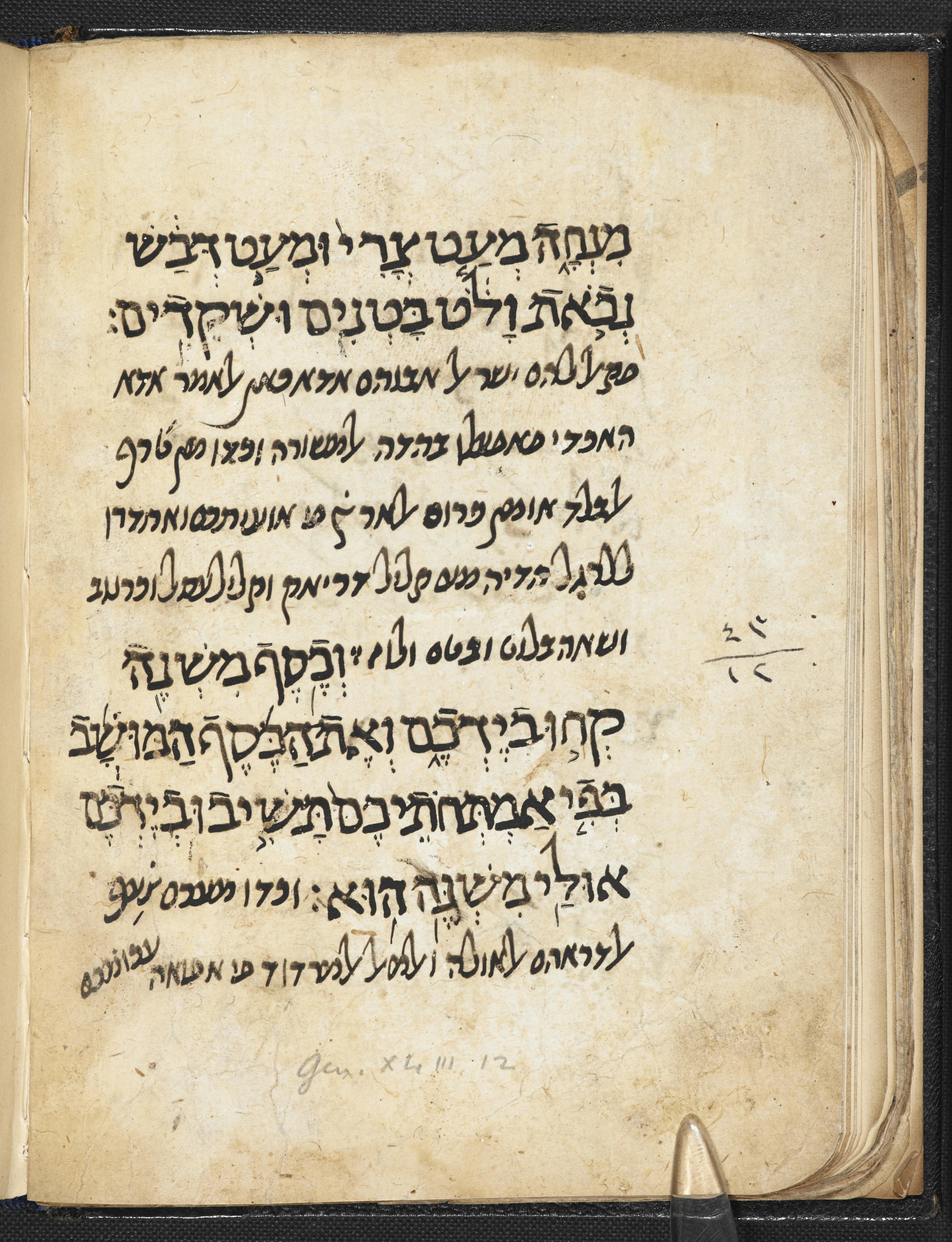 Image of item, e.g. a manuscript page