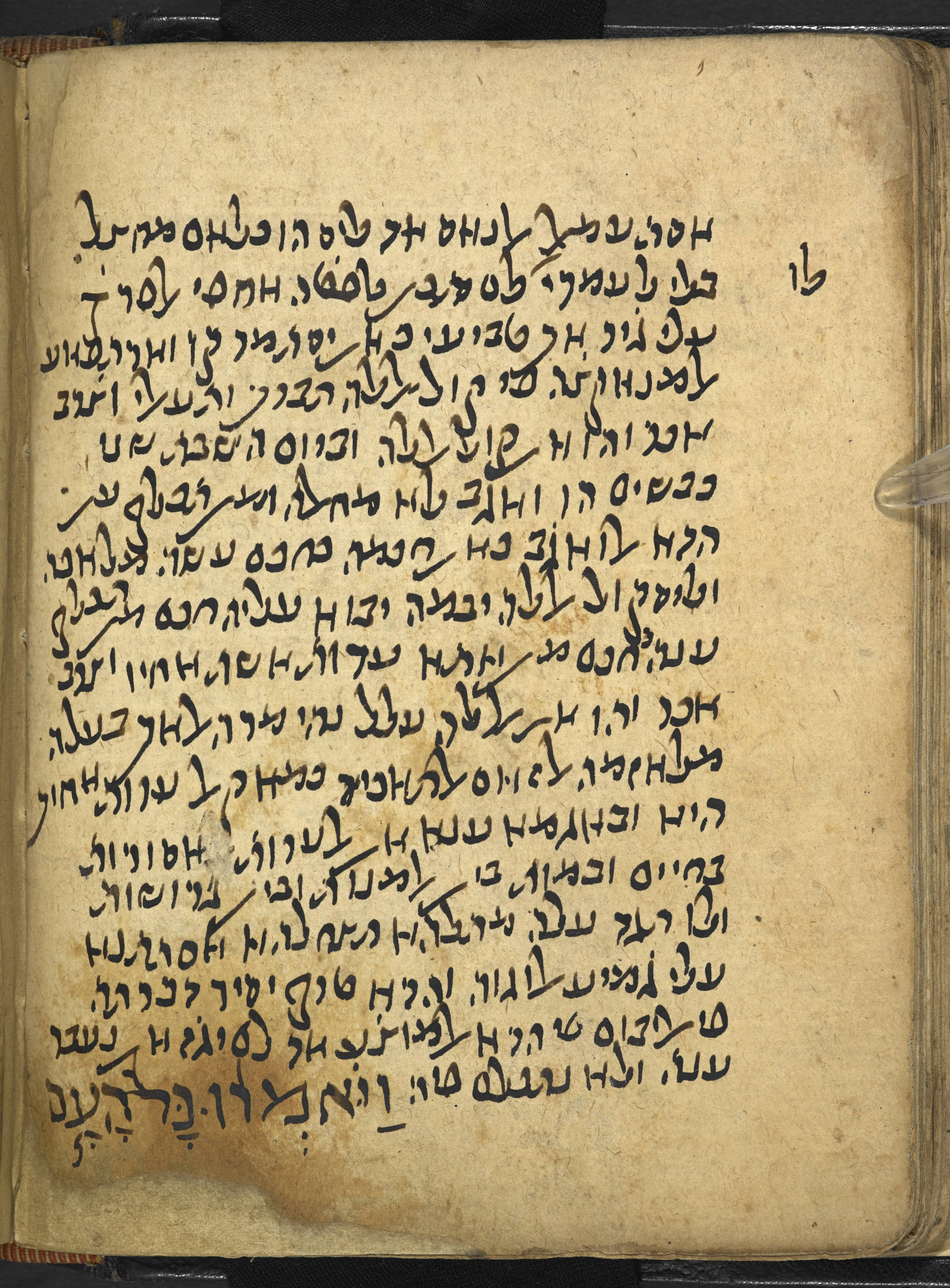 Image of item, e.g. a manuscript page