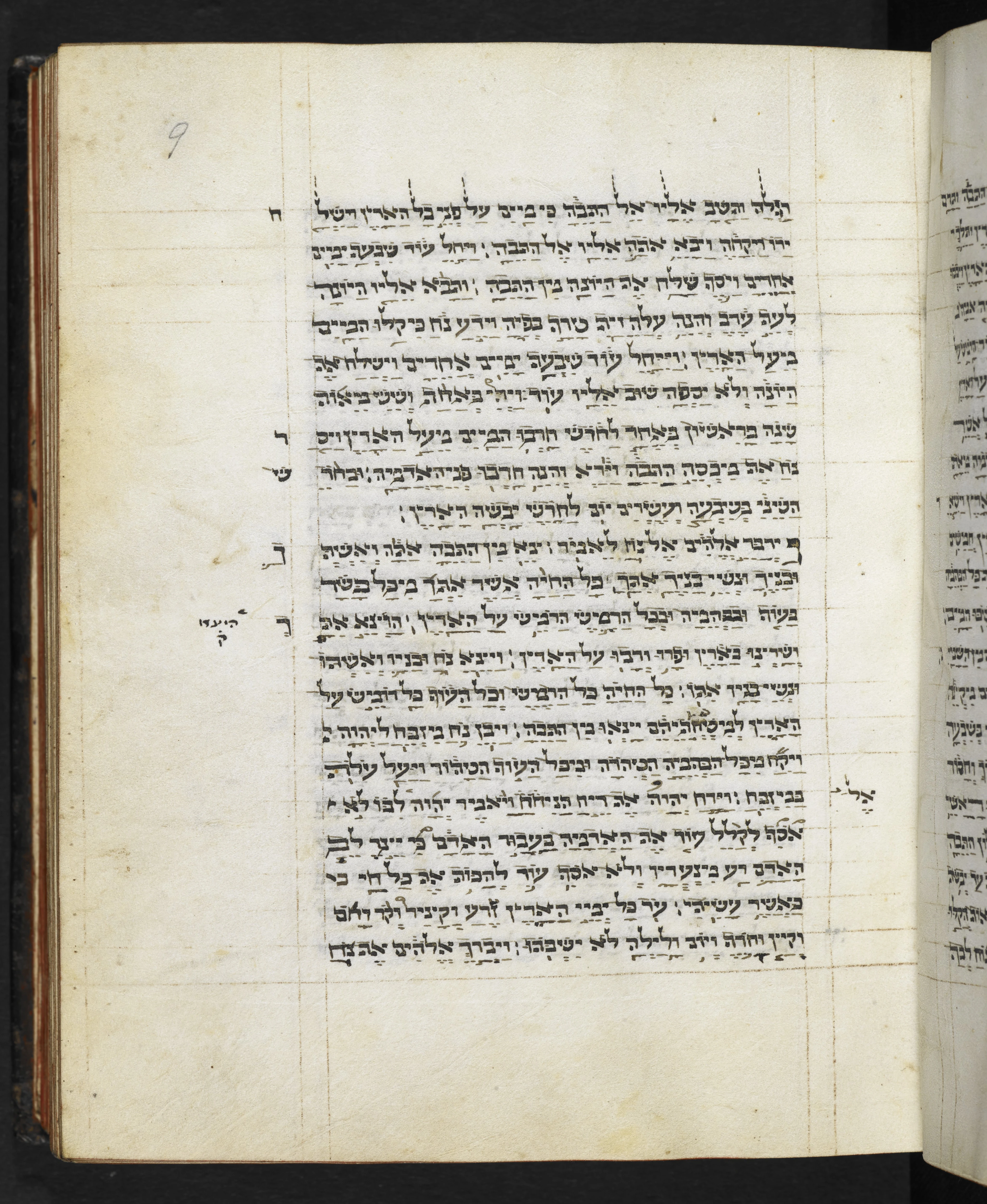 Image of item, e.g. a manuscript page