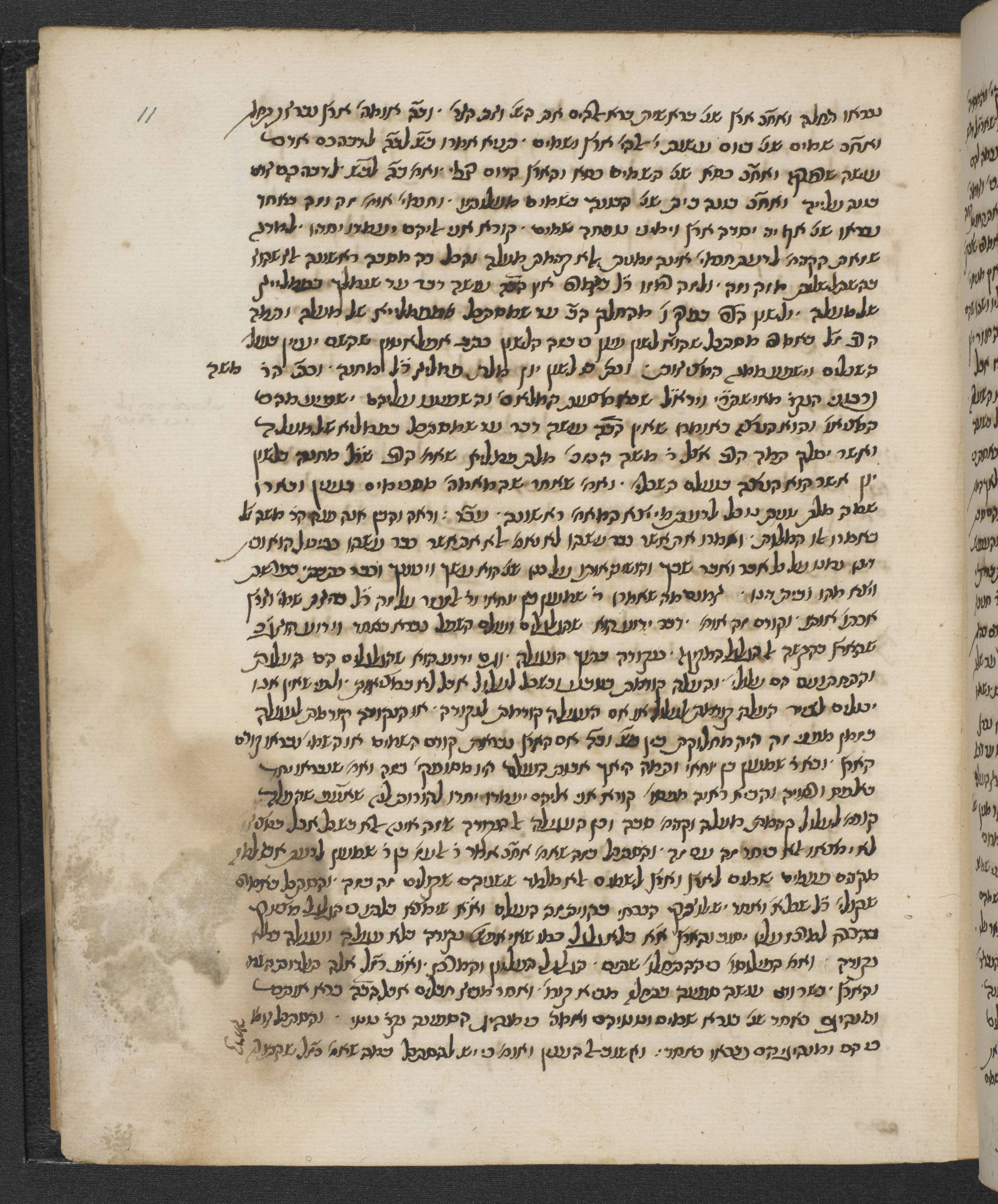 Image of item, e.g. a manuscript page