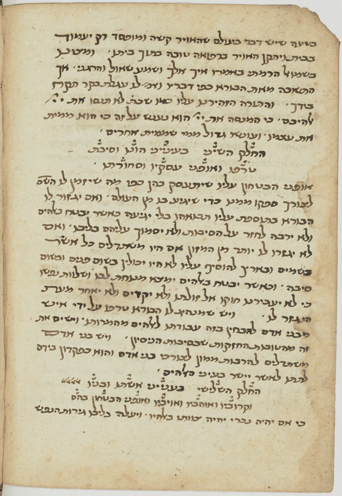 Image of item, e.g. a manuscript page