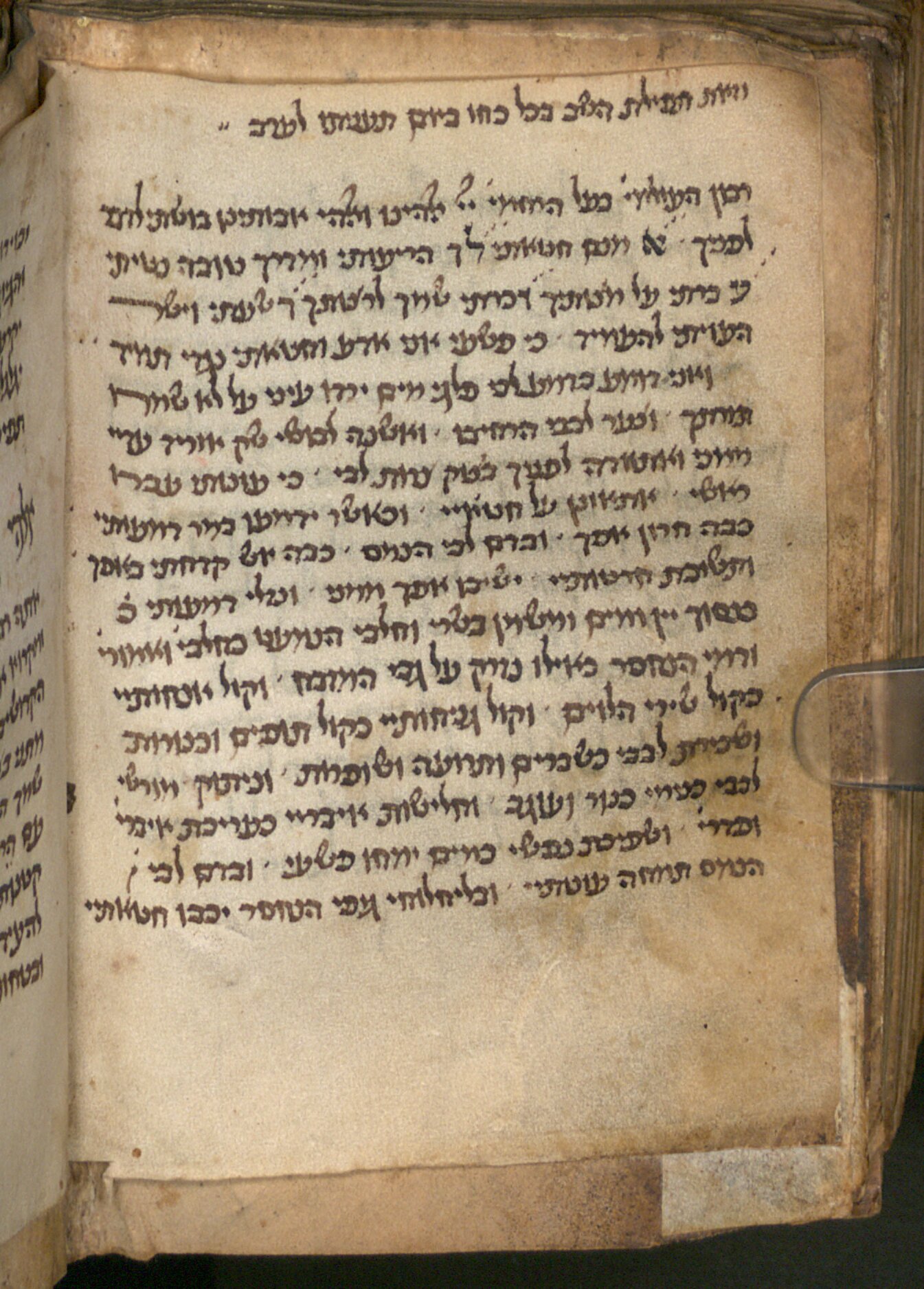 Image of item, e.g. a manuscript page
