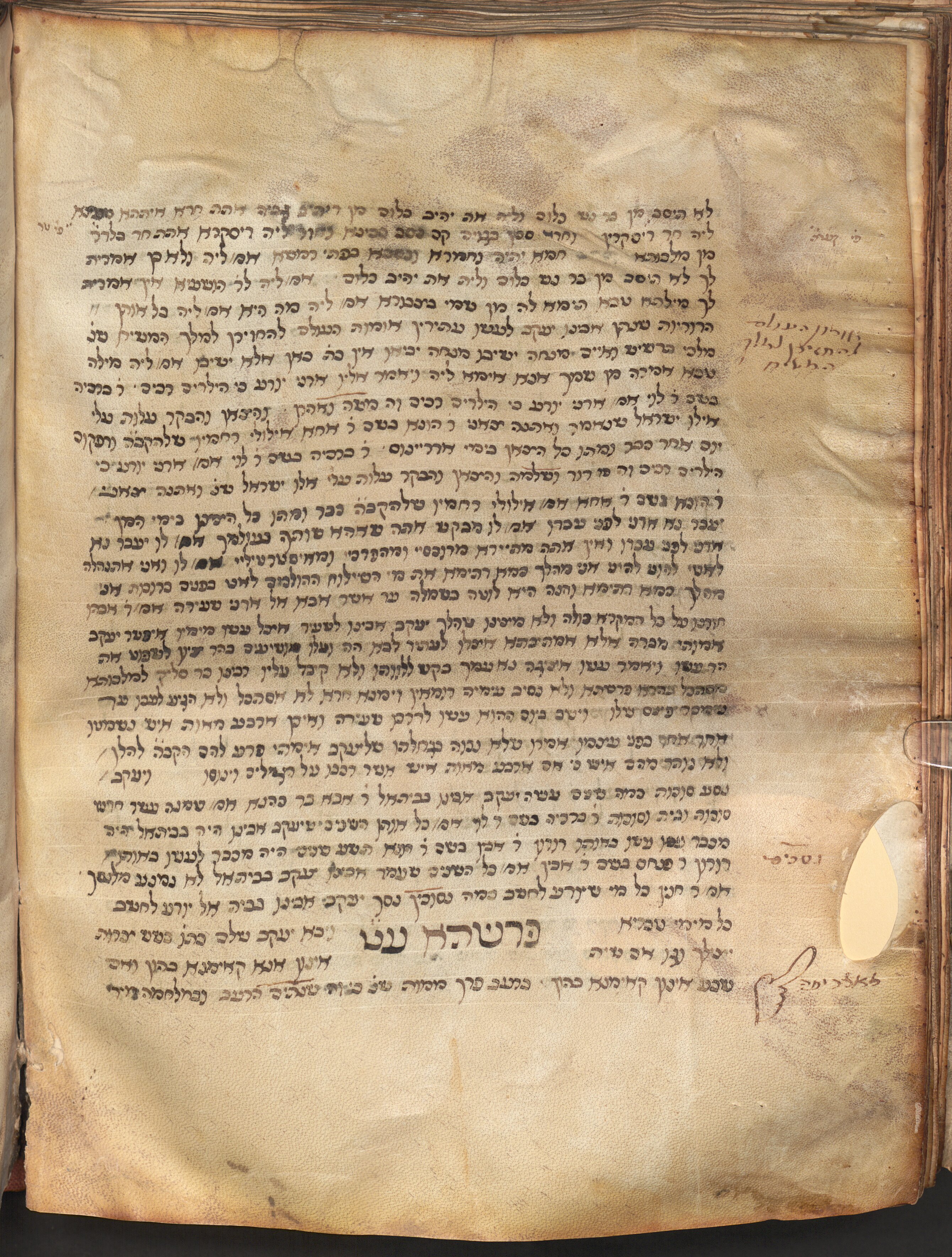 Image of item, e.g. a manuscript page