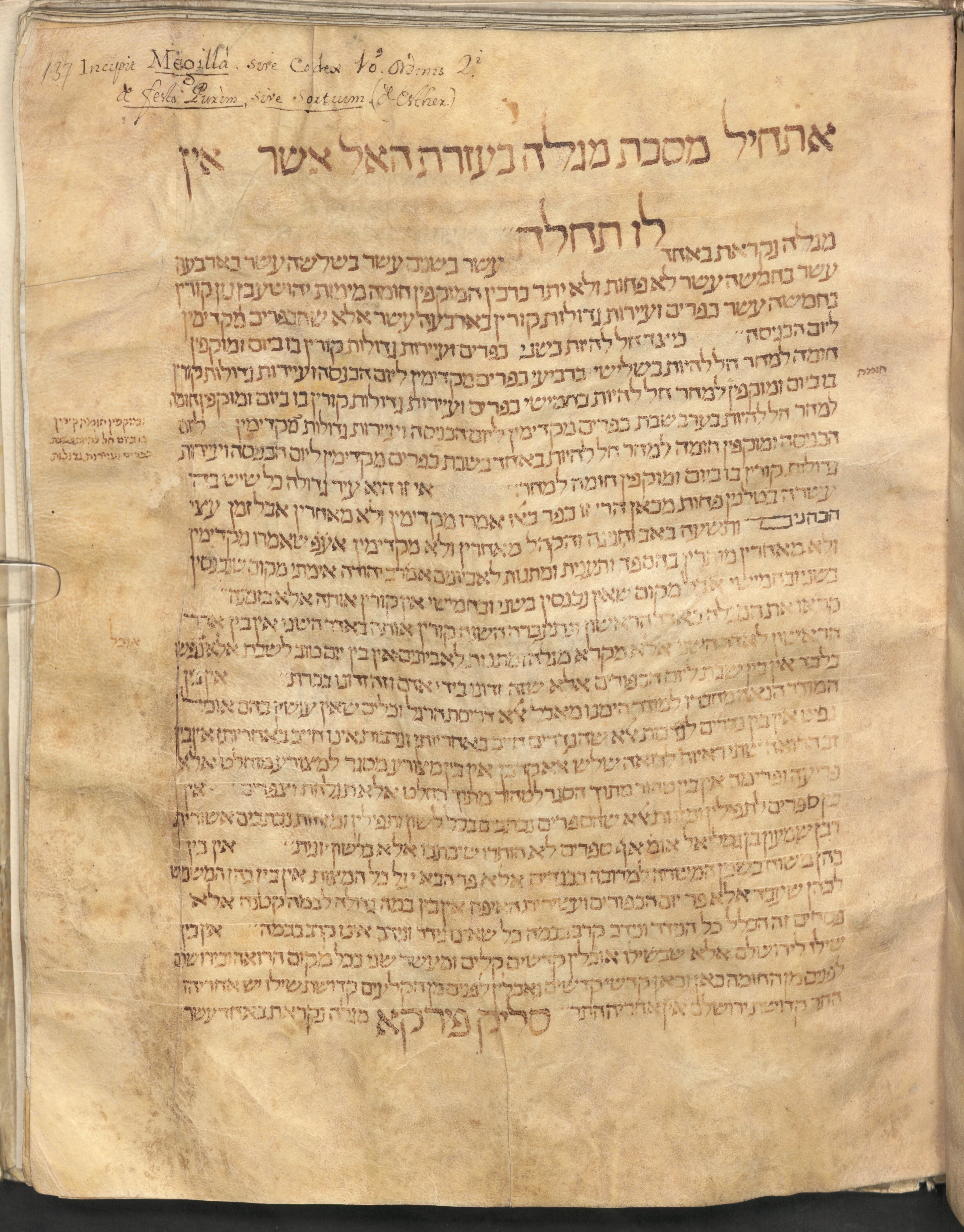 Image of item, e.g. a manuscript page
