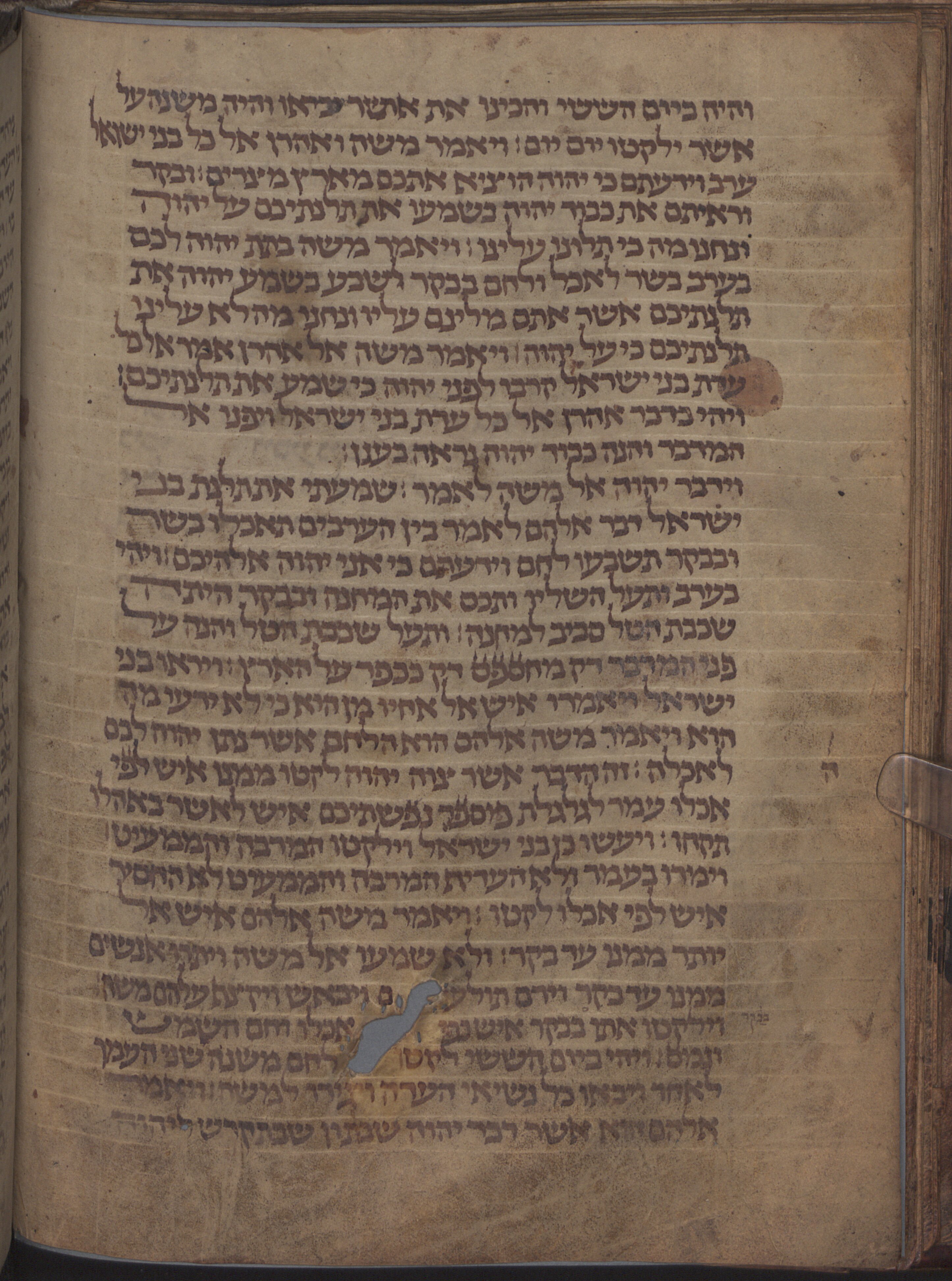 Image of item, e.g. a manuscript page