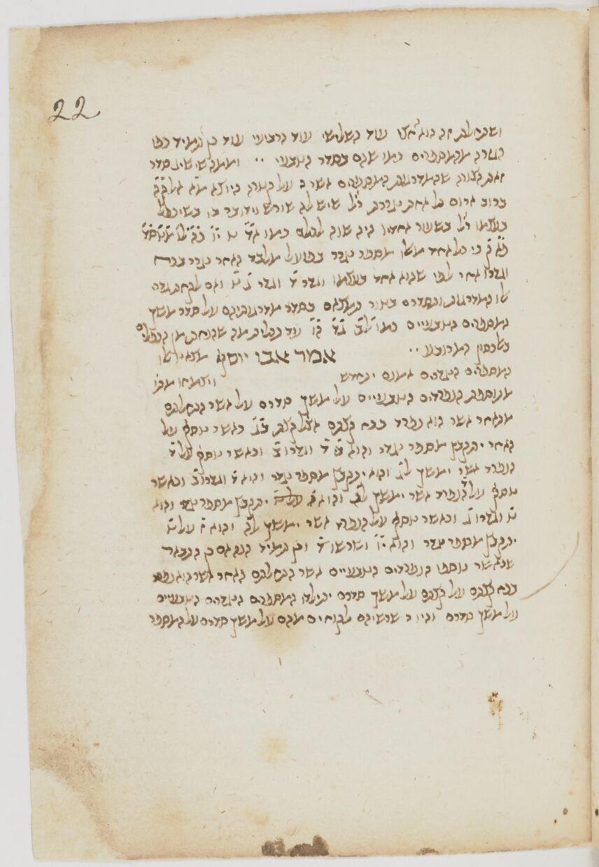 Image of item, e.g. a manuscript page