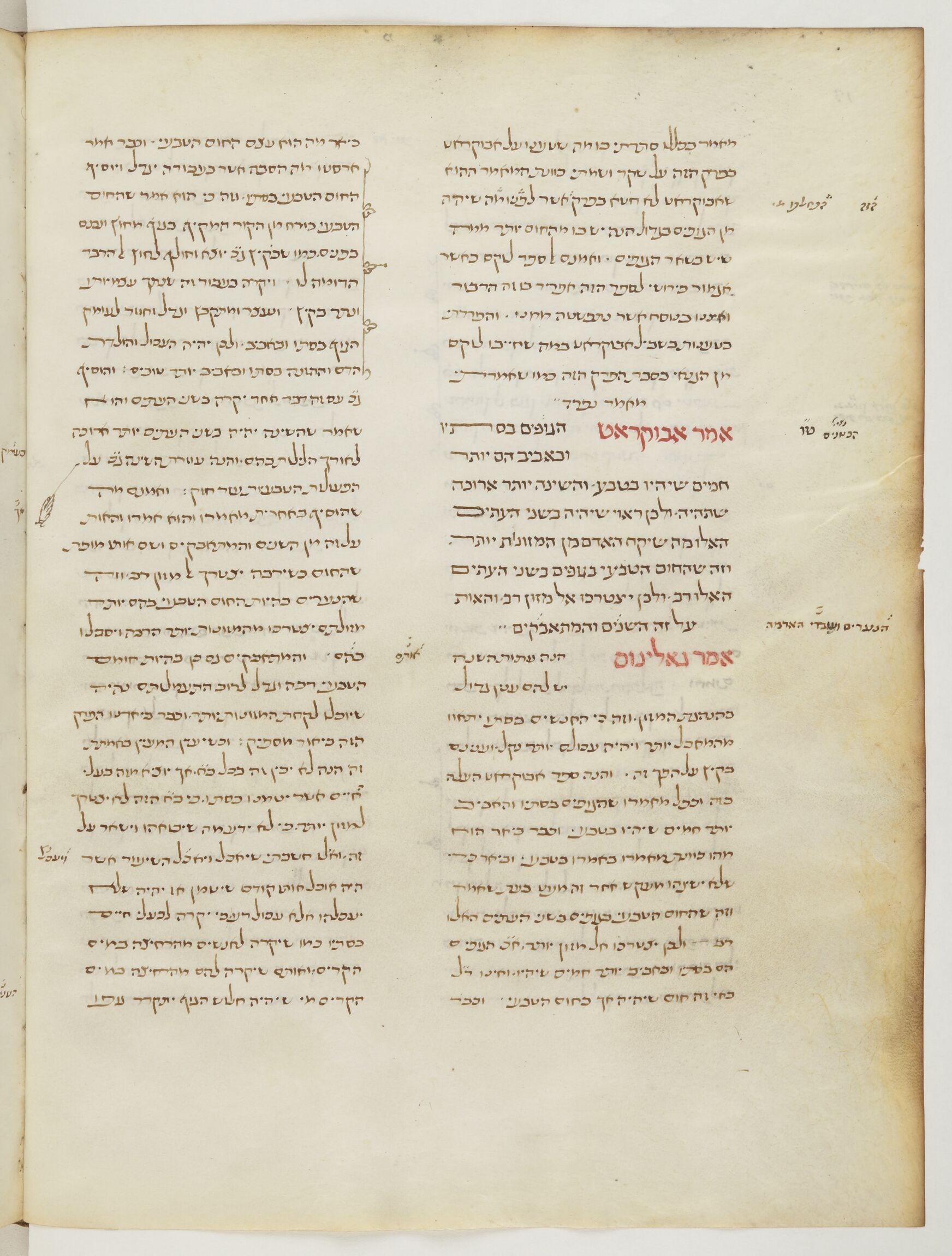 Image of item, e.g. a manuscript page