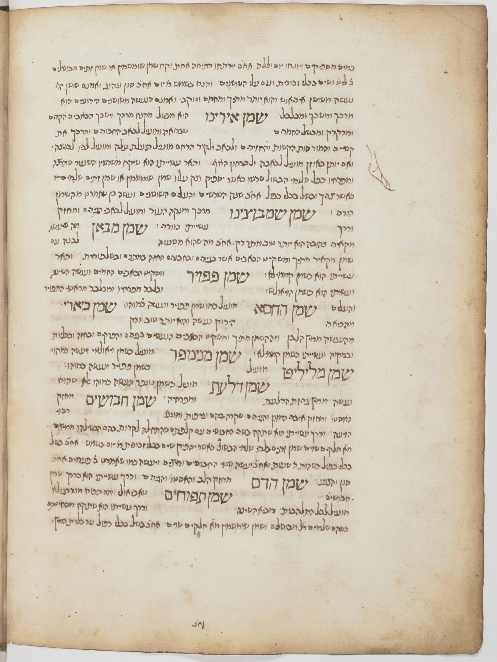 Image of item, e.g. a manuscript page