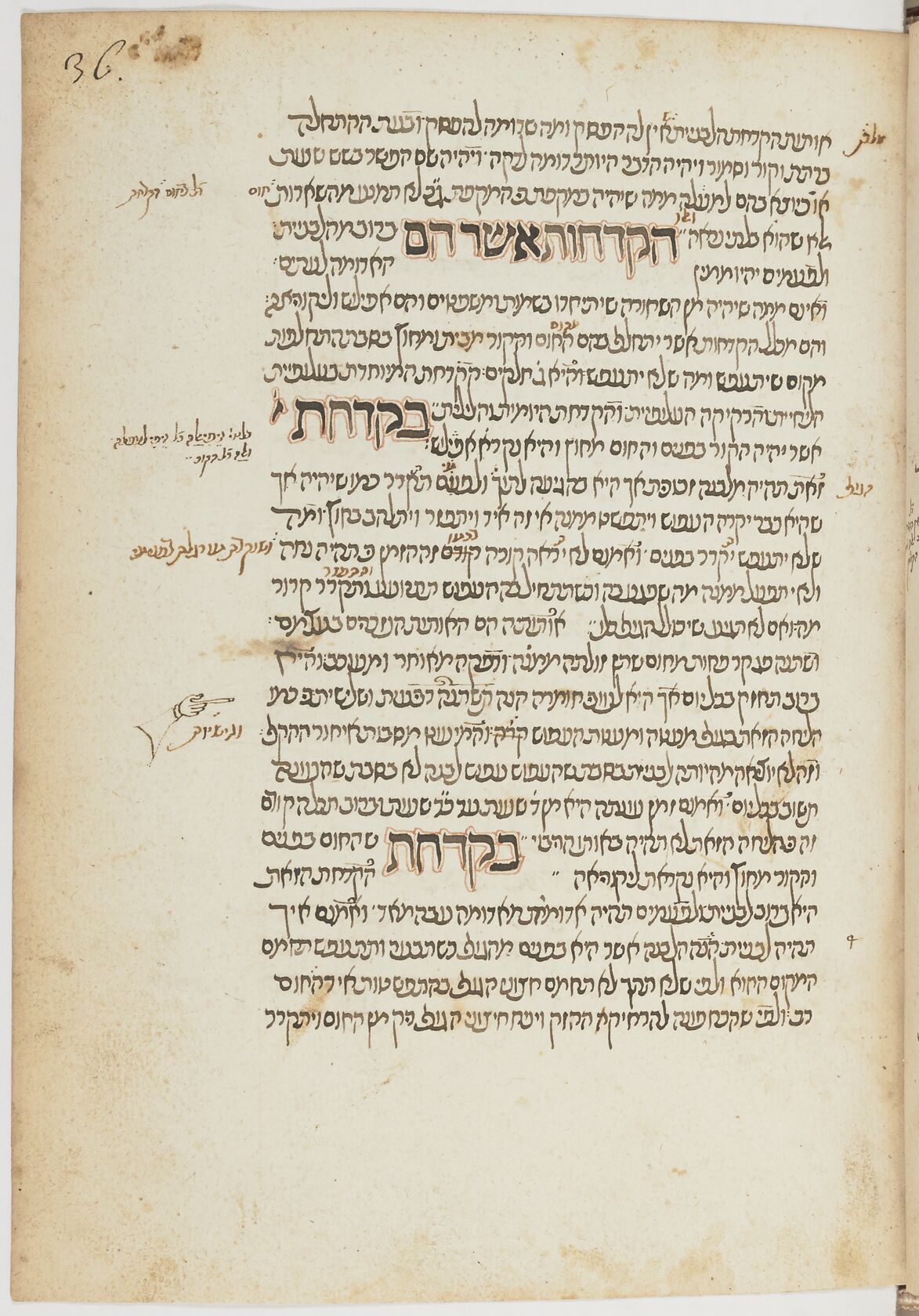 Image of item, e.g. a manuscript page