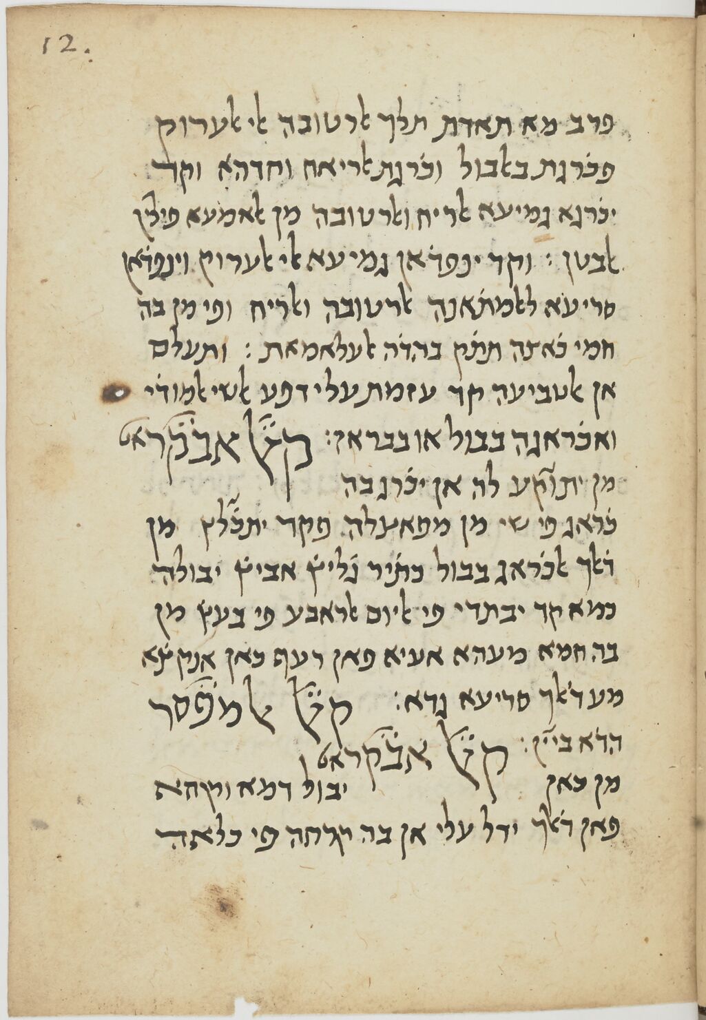 Image of item, e.g. a manuscript page