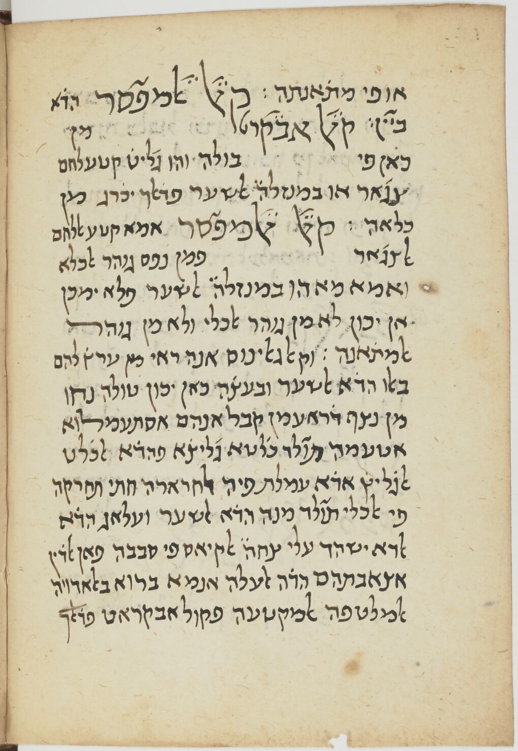 Image of item, e.g. a manuscript page
