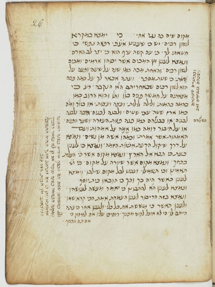 Image of item, e.g. a manuscript page