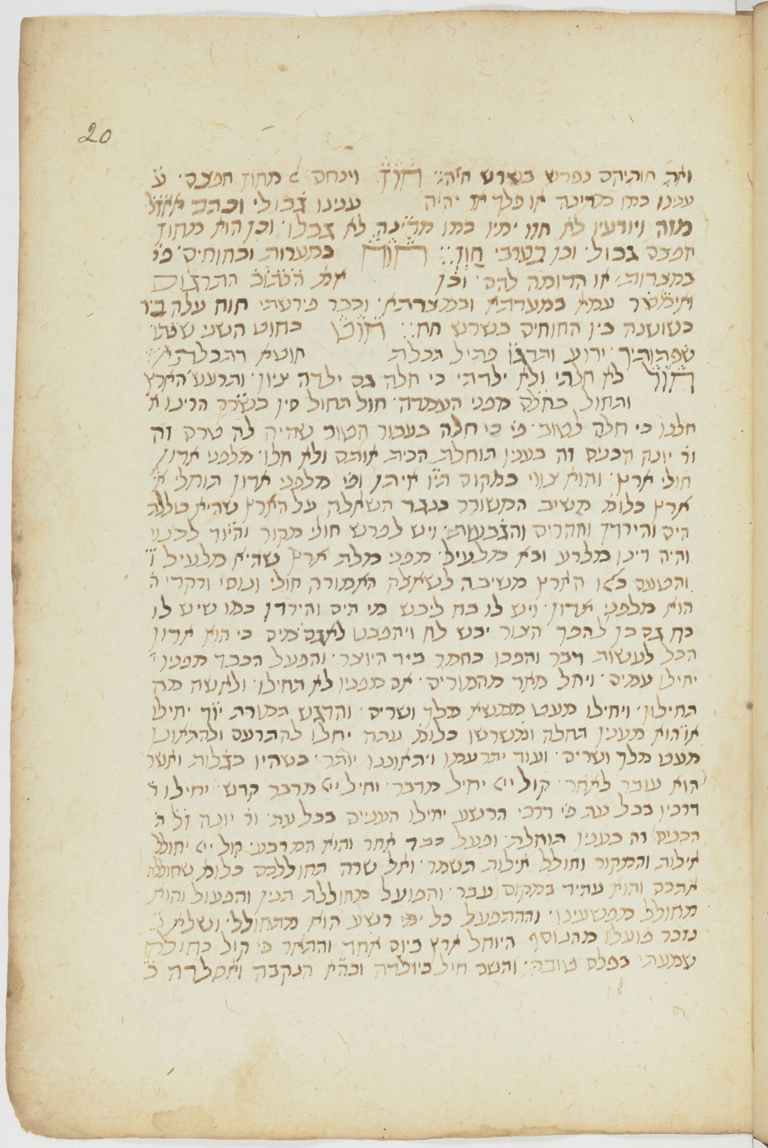 Image of item, e.g. a manuscript page