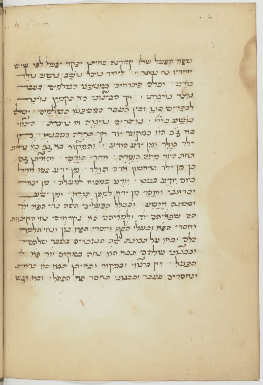Image of item, e.g. a manuscript page