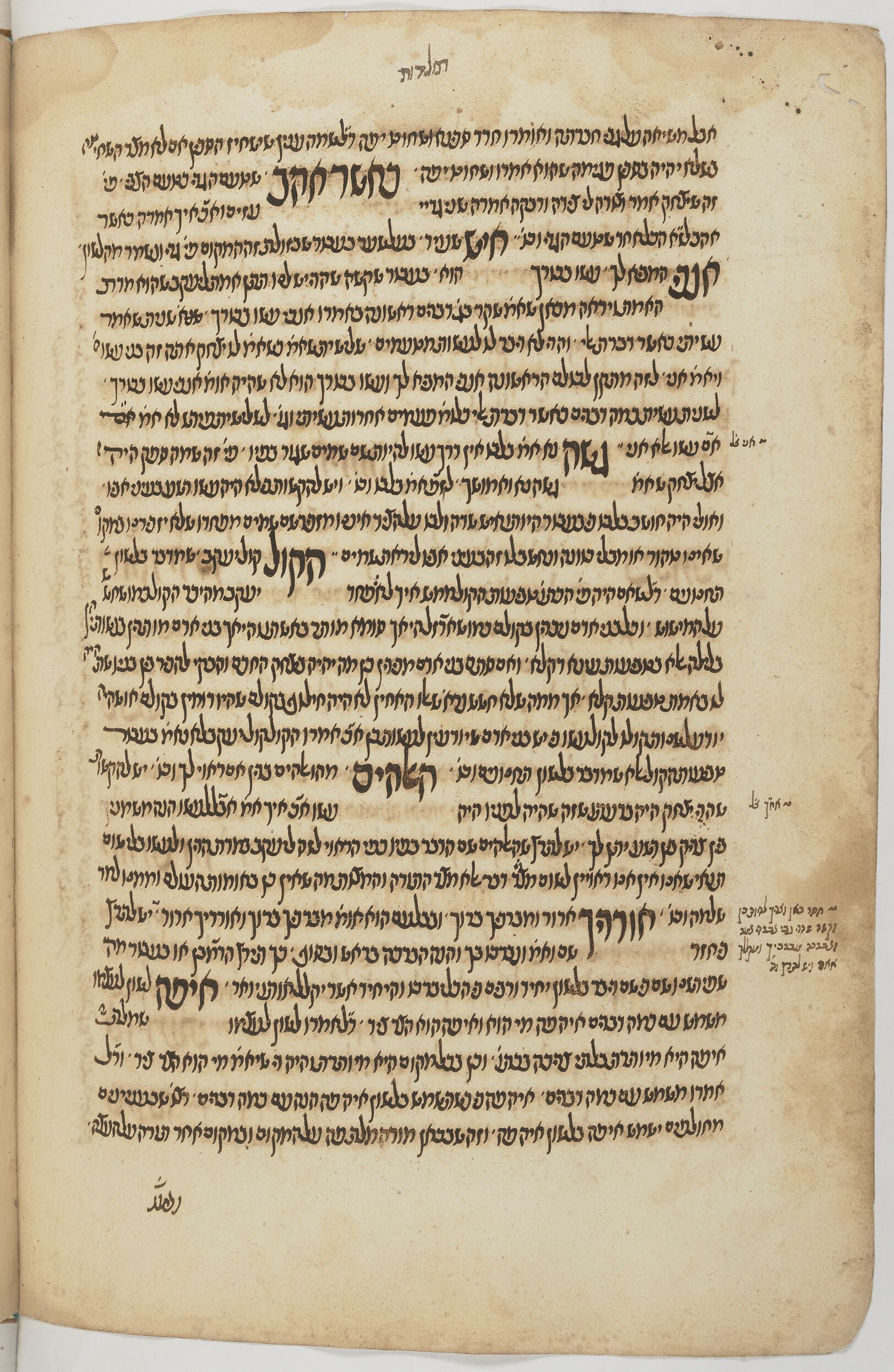 Image of item, e.g. a manuscript page
