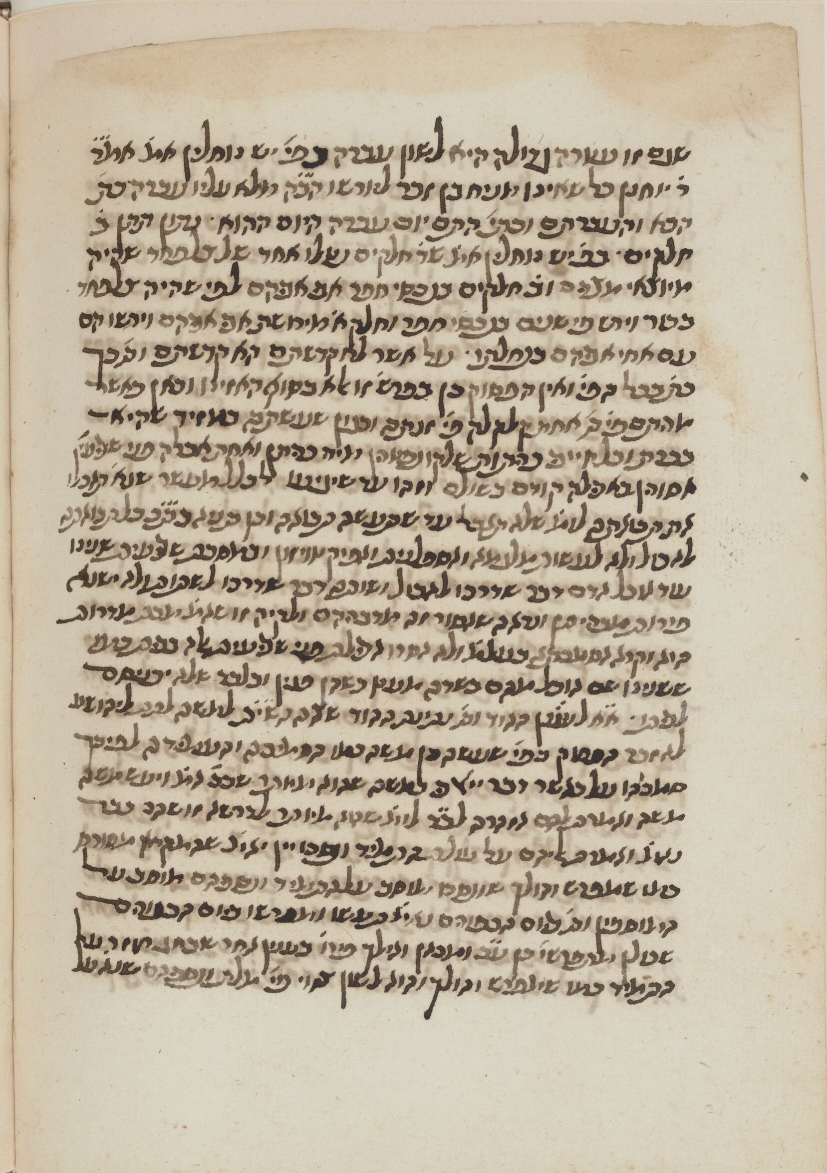 Image of item, e.g. a manuscript page