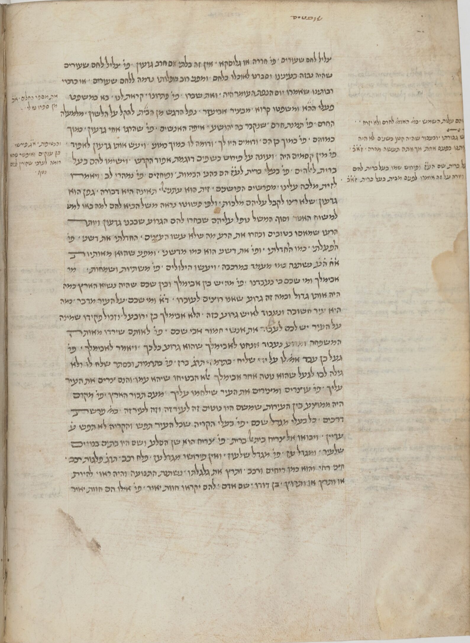 Image of item, e.g. a manuscript page