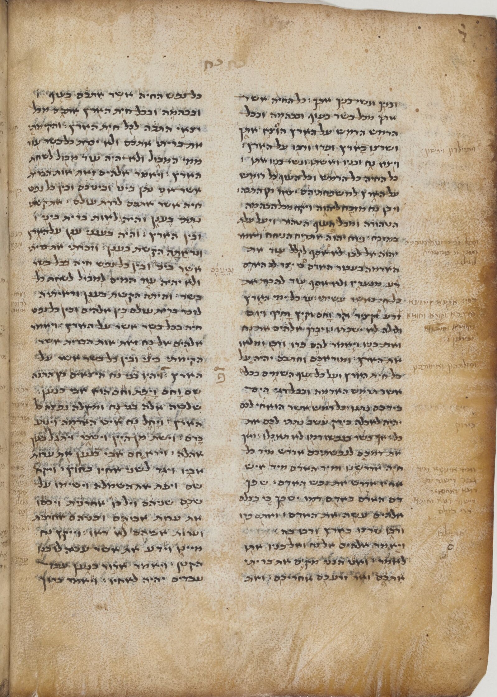 Image of item, e.g. a manuscript page